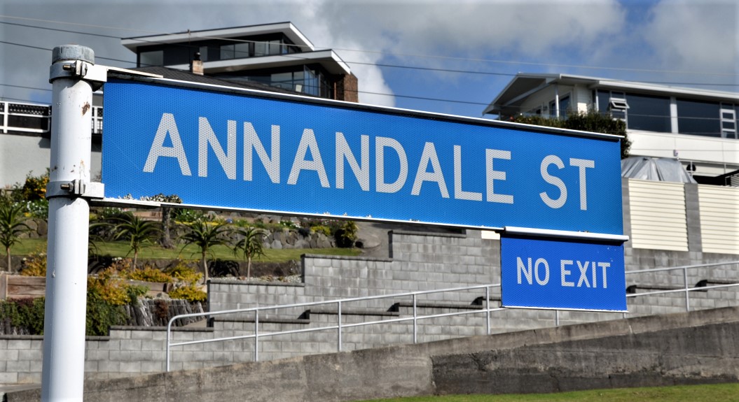 Annandale_Street_sign.jpg