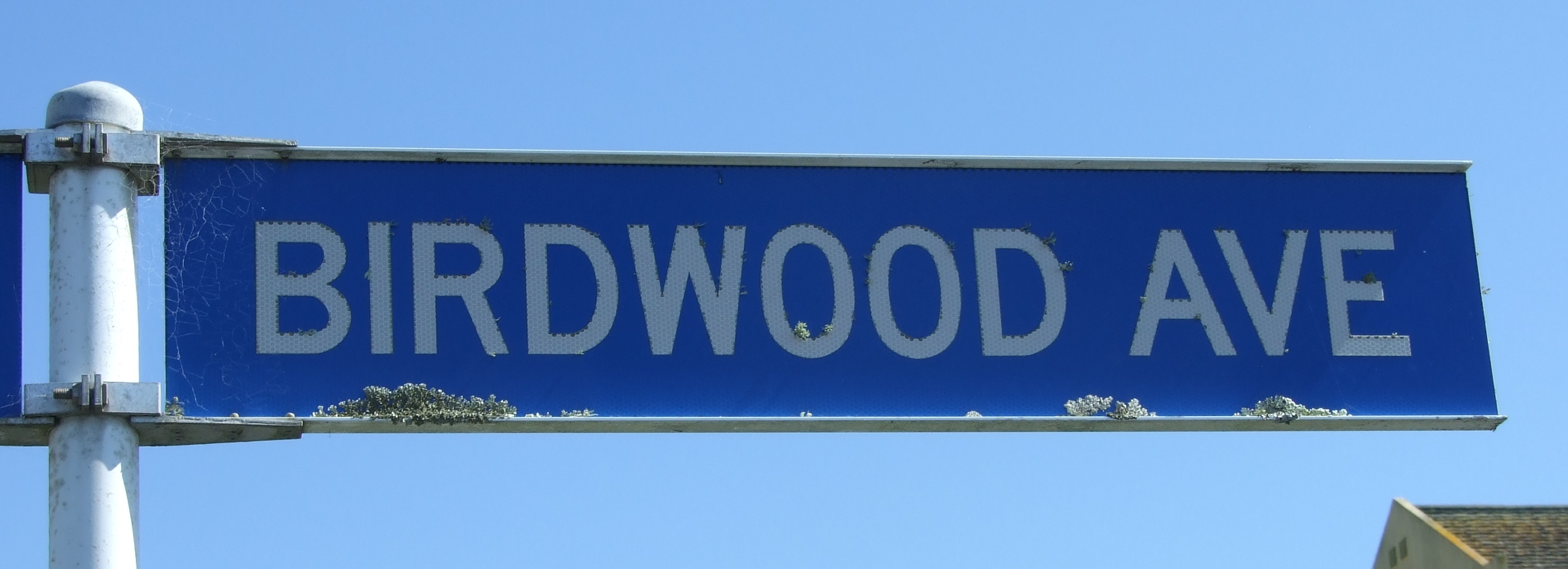 Birdwood_Av.jpg