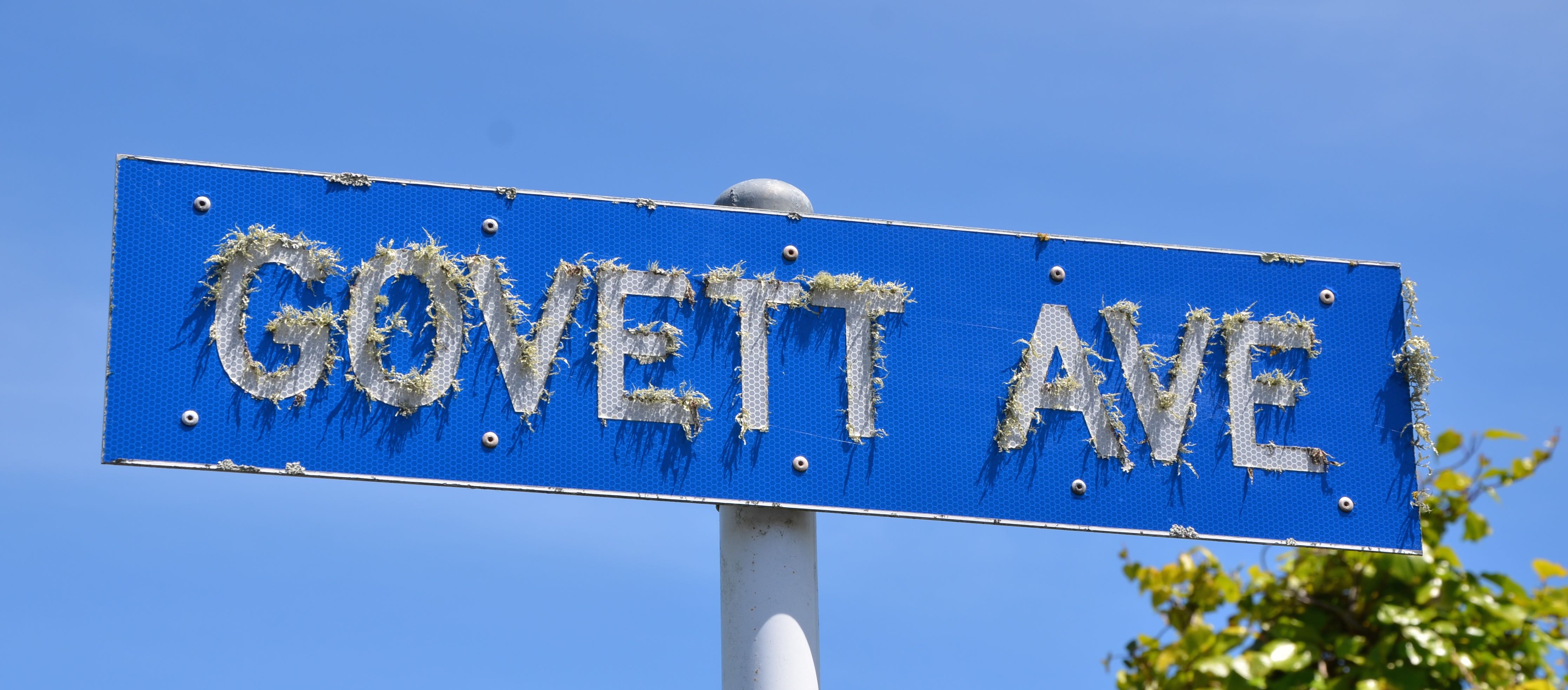 Govett_Ave.jpg (1)