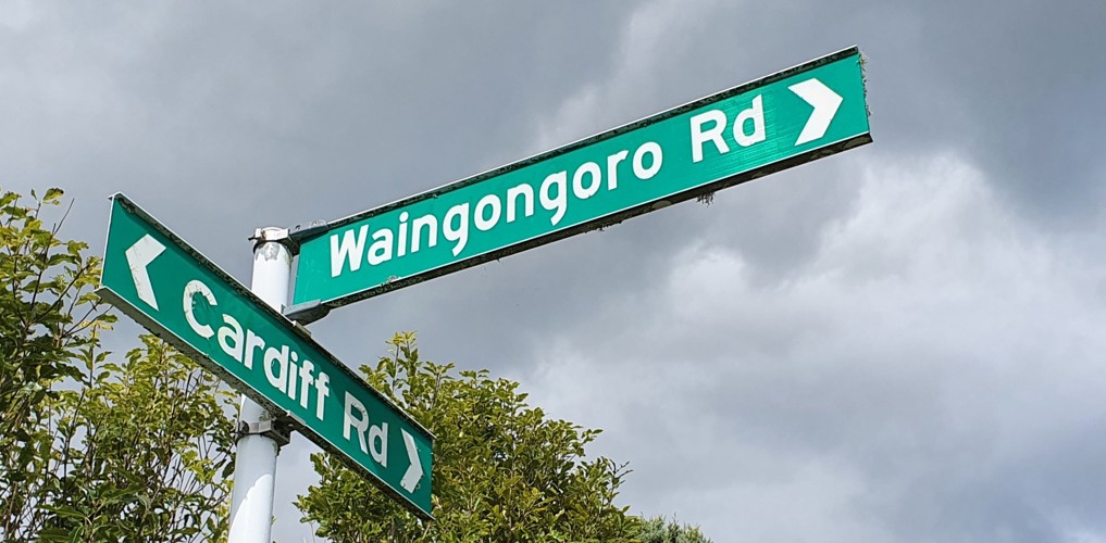 Waingongoro Road for web.jpg