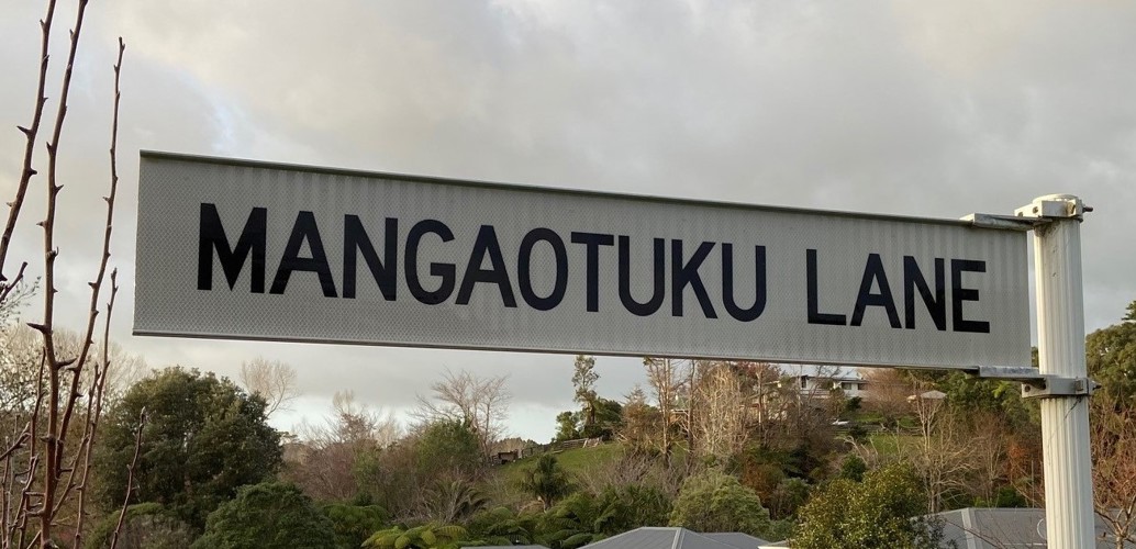 Mangaotuku Lane.jpg