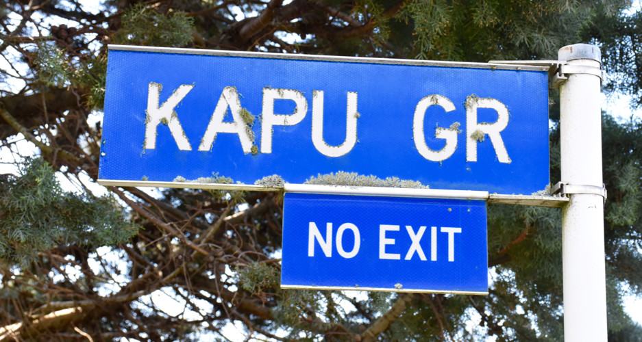 Kapu Grove.jpg