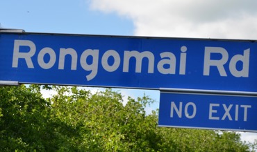 Rongomai_Road.jpg