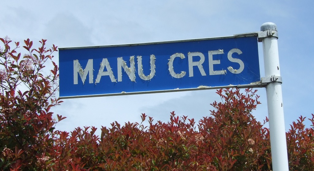 Manu_Cres.jpg