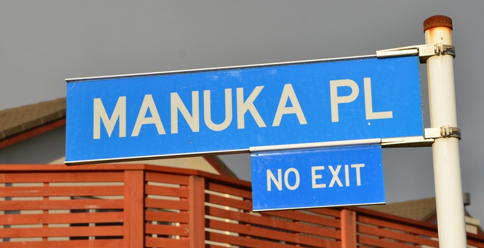 Manuka_Pl_003.jpg