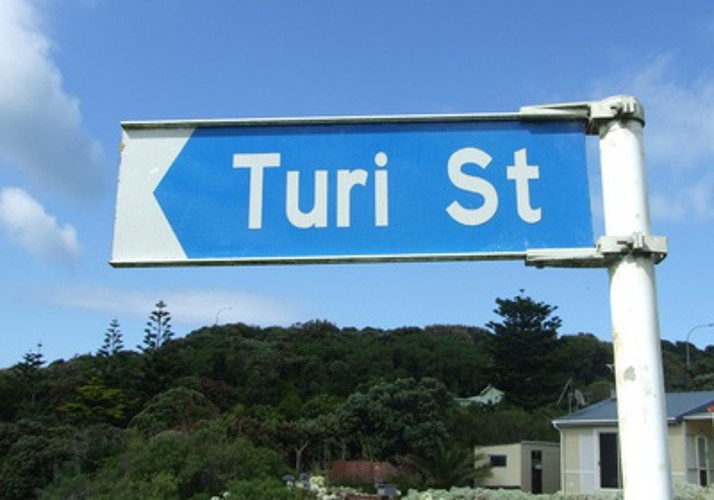 Turi_Street_large.jpg