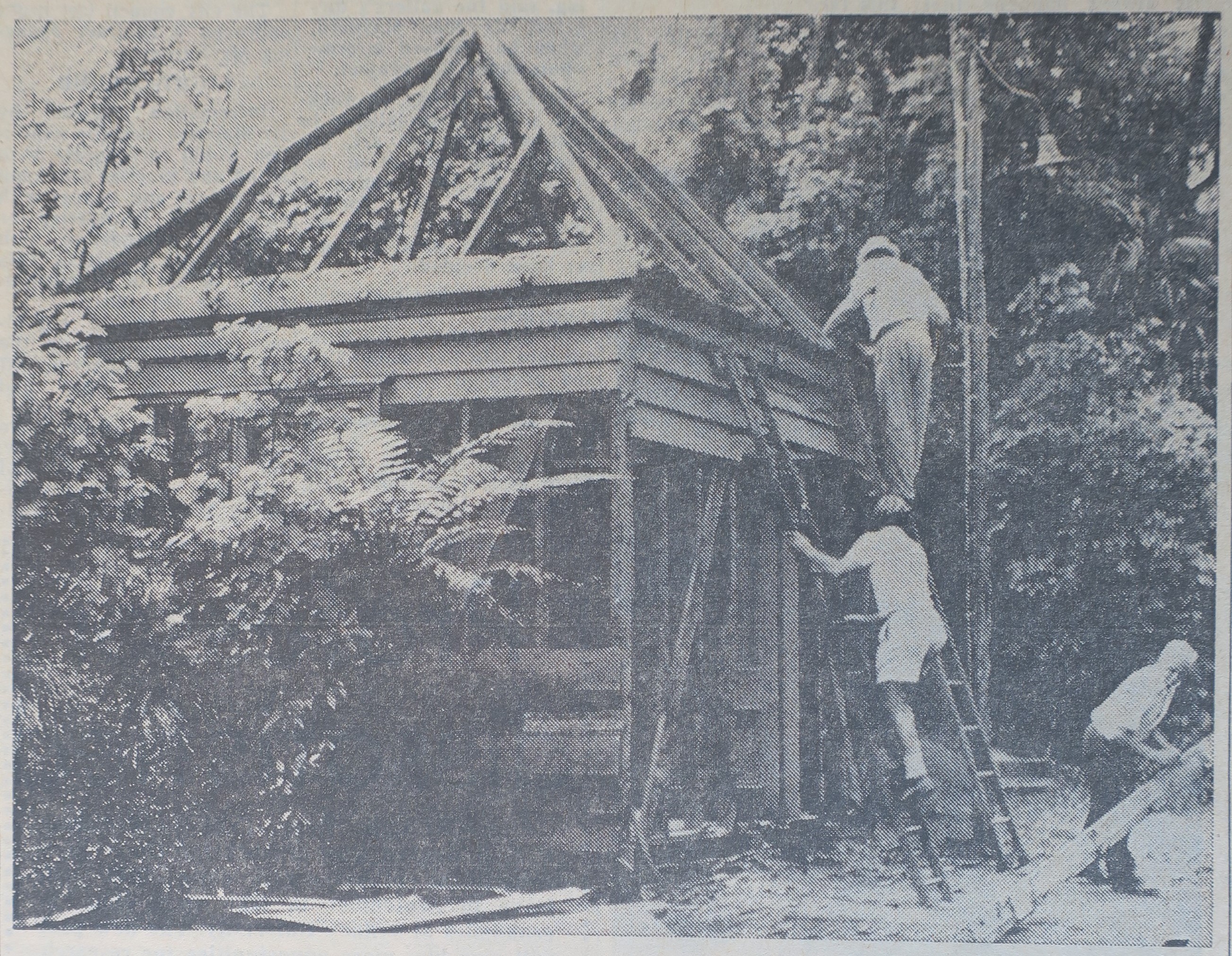 Pukekura Park bathing shed (Taranaki Herald 18 March 1969)