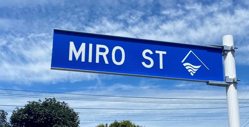 24 Riro Street Miro Street