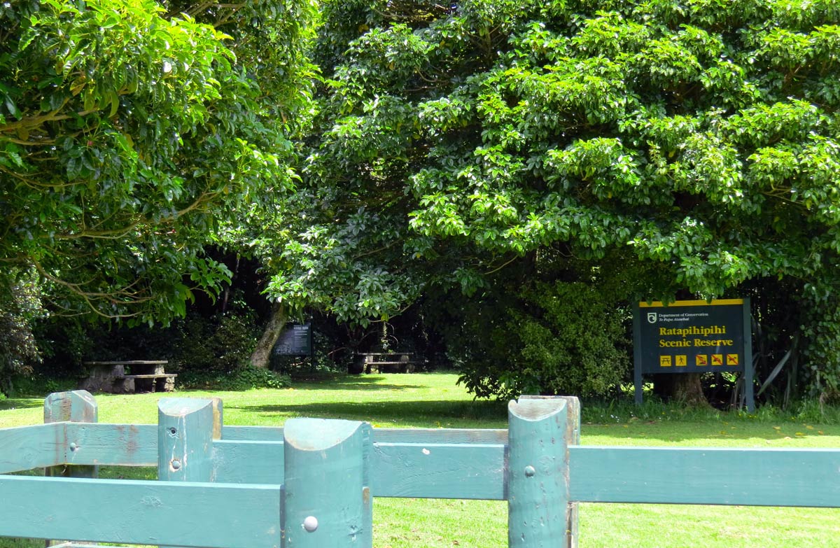 ratapihipihi-sign-picnic-area-1200.jpg