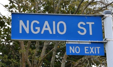 Ngaio_Street.jpg