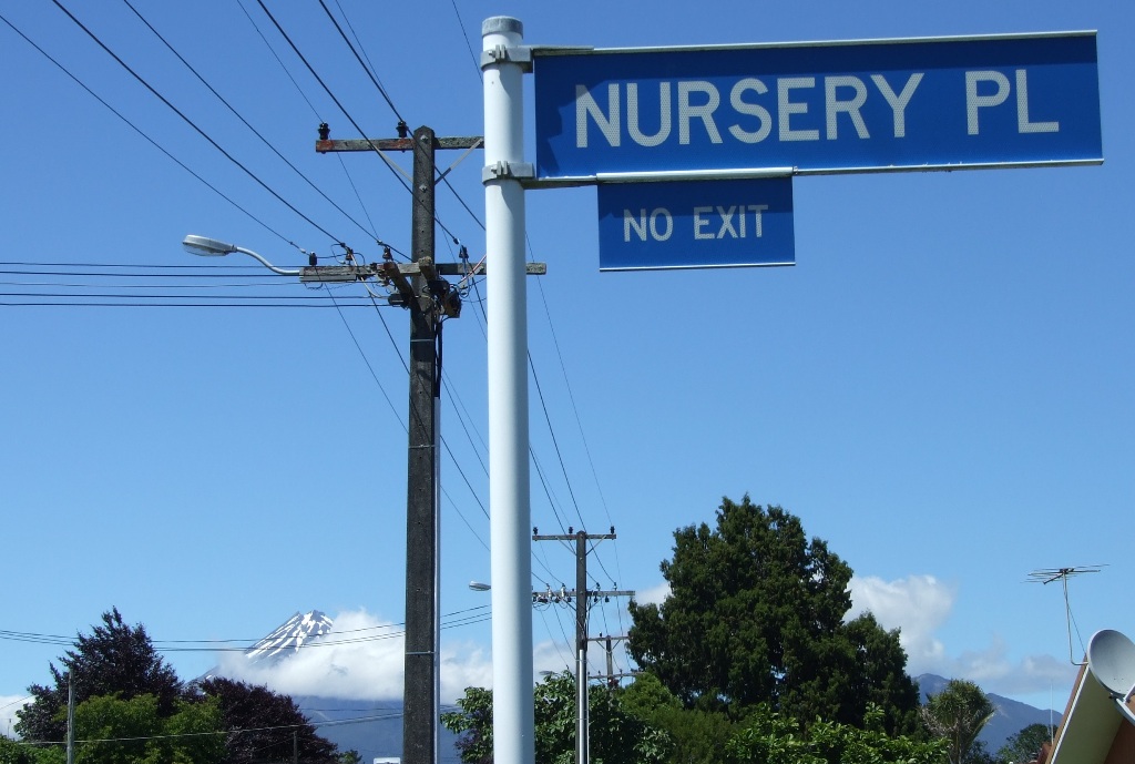 Nursery_Place2.jpg (1)