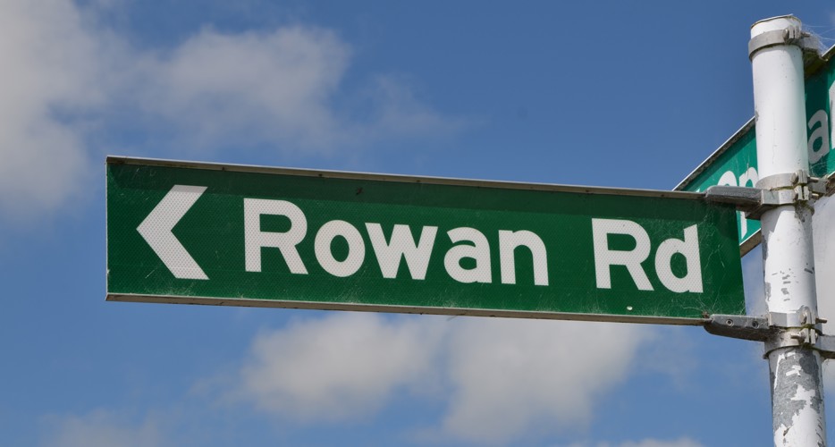 Rowan_Road_for_TNL.jpg