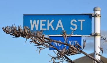 Weka_Street.jpg