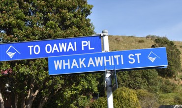 Whakawhiti Street.JPG