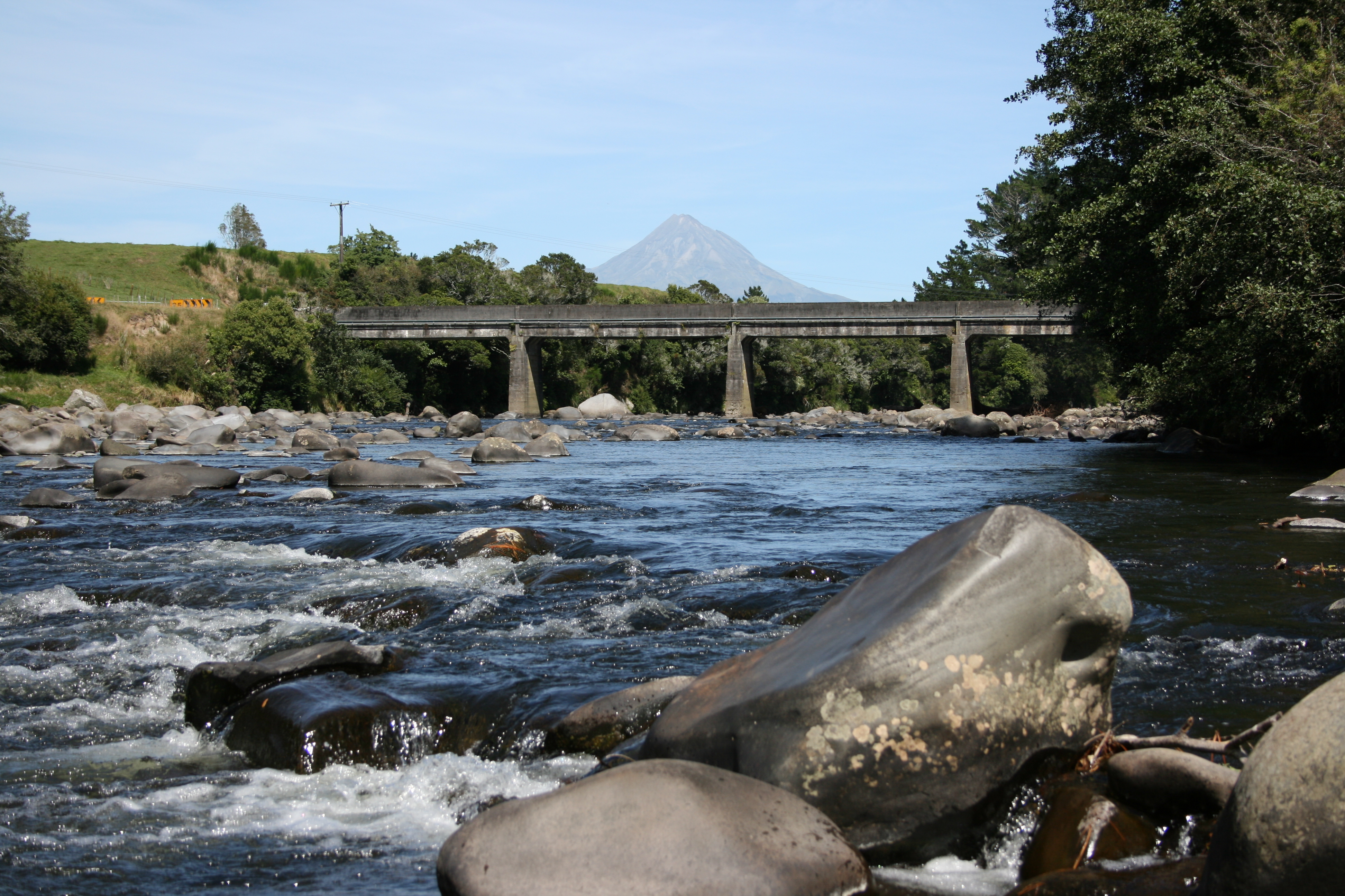 Manganui_061.jpg