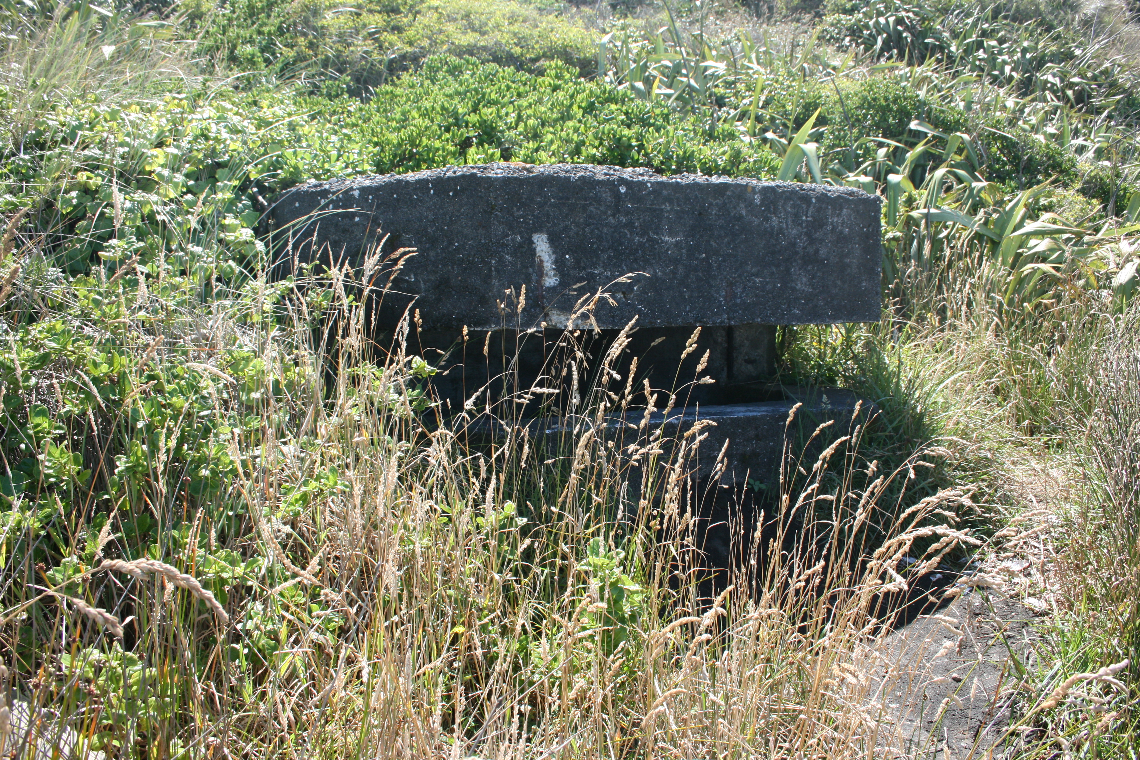 Kaupokonui_Pillbox_007.jpg