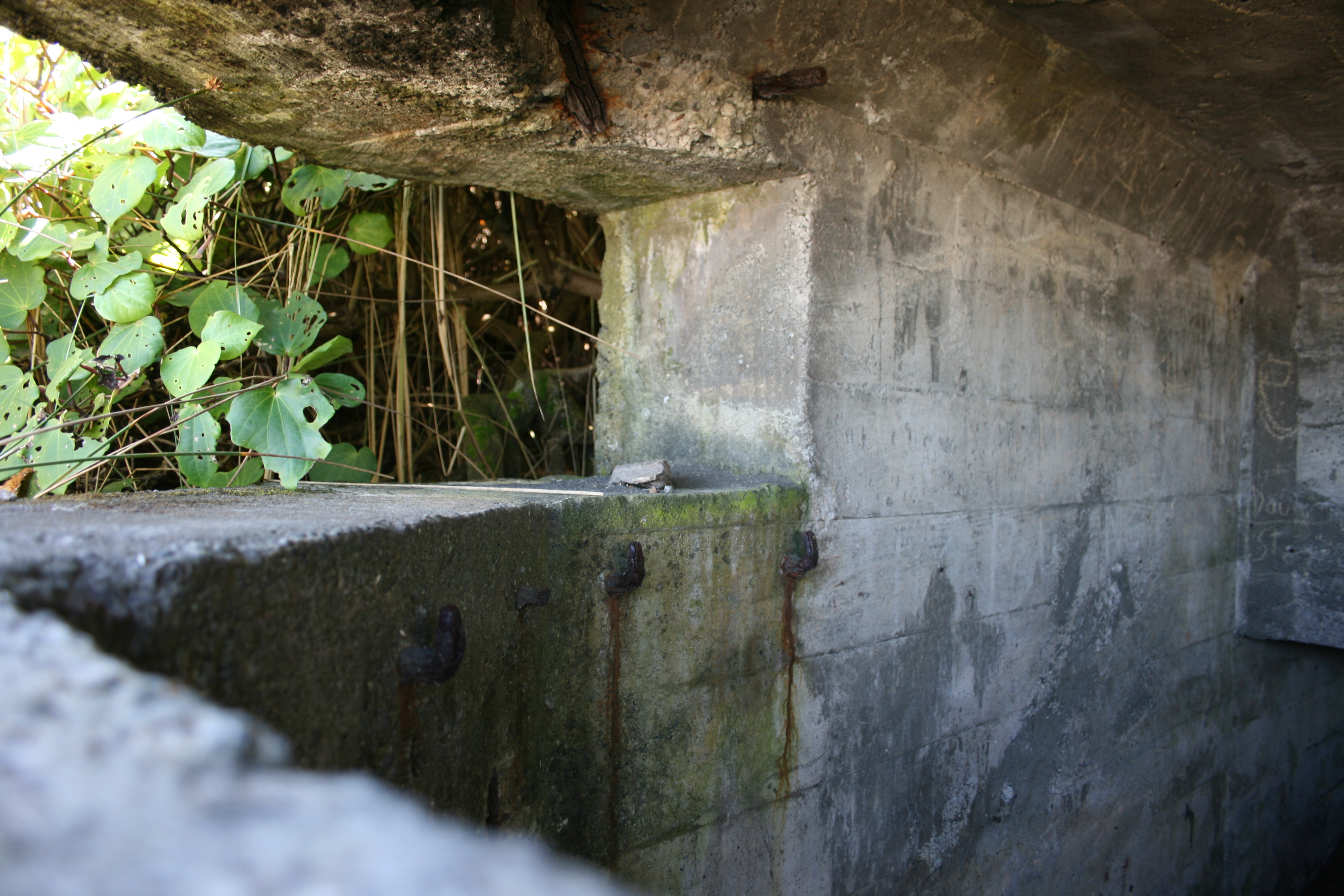 Kaupokonui_Pillbox_013.jpg