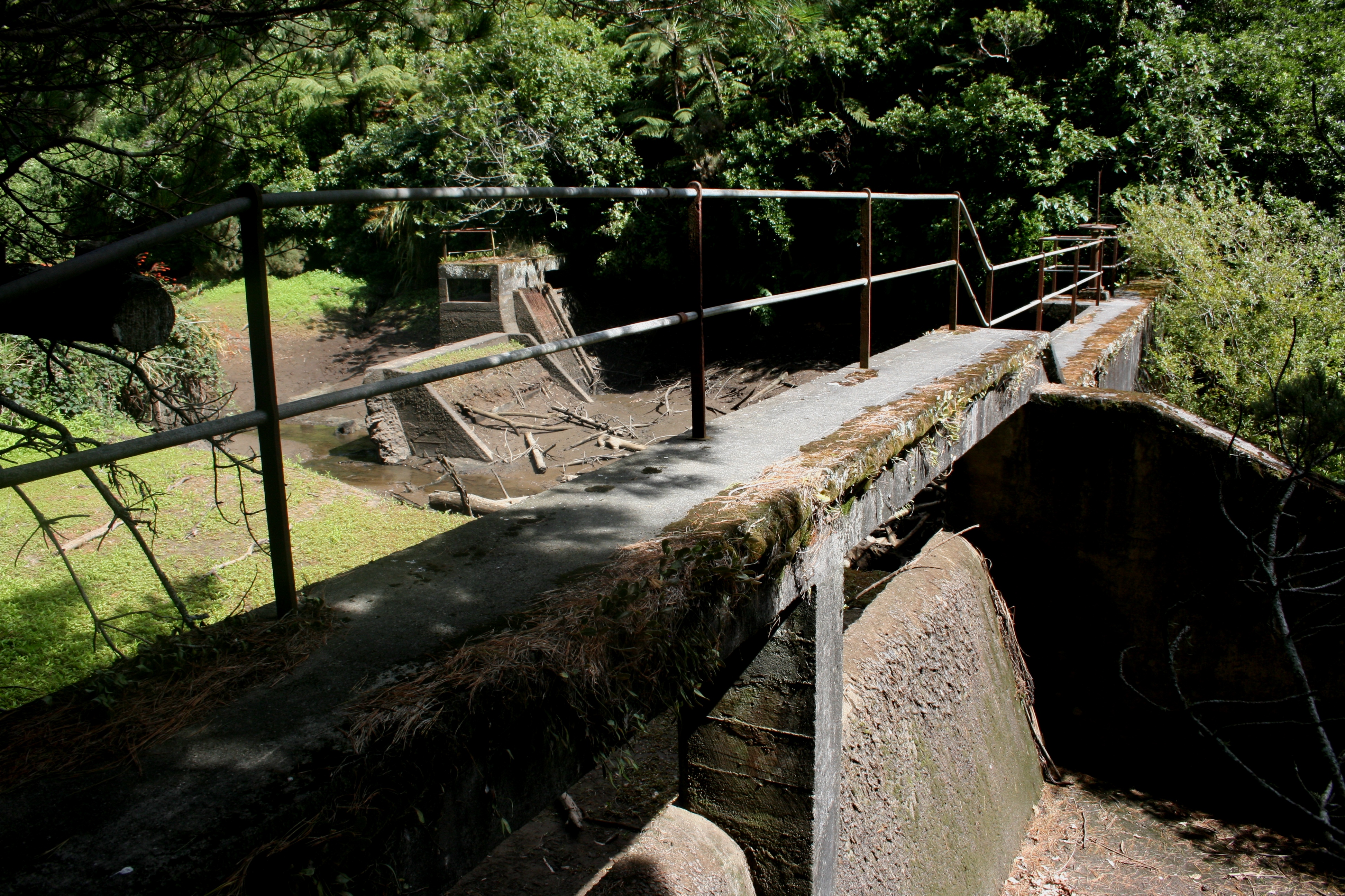 Mangorei_Dam_010.jpg