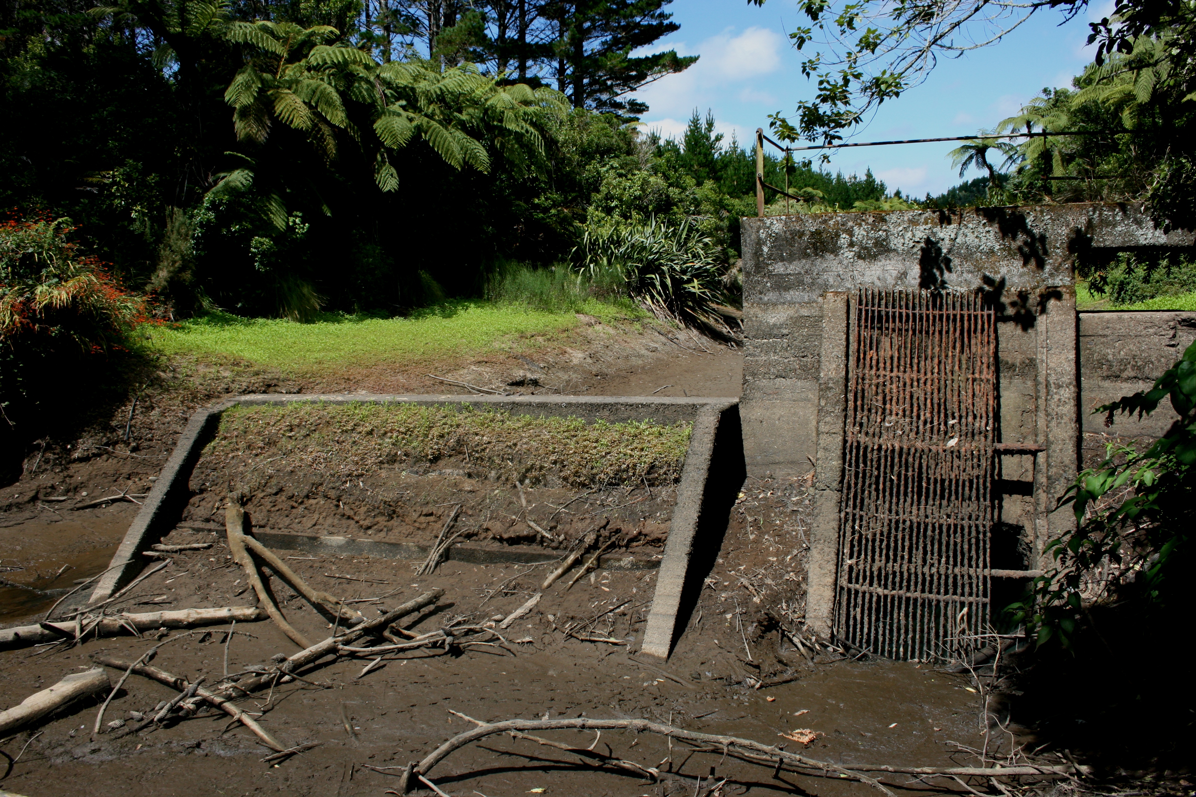 Mangorei_Dam_005.jpg