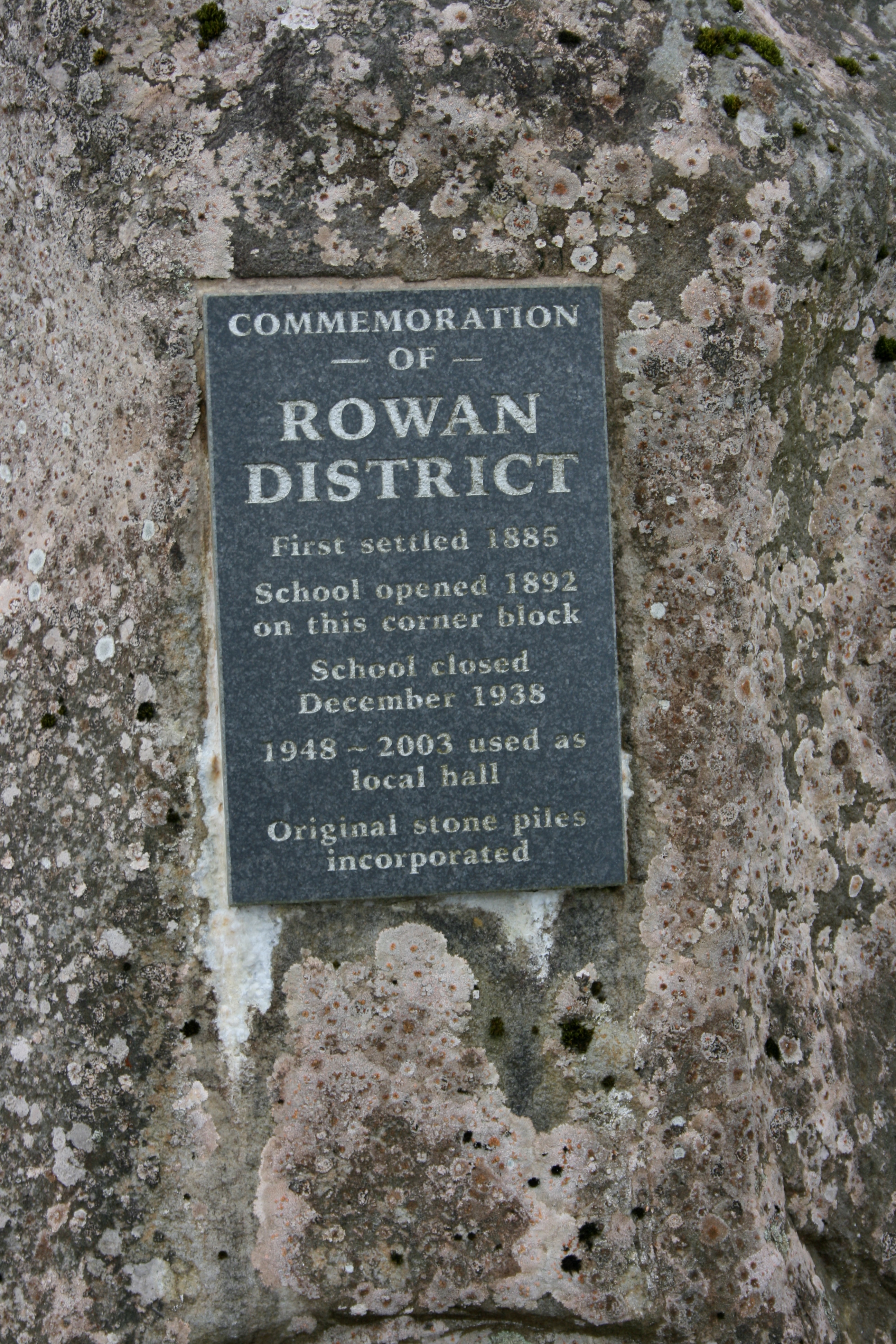 Rowan_029.jpg