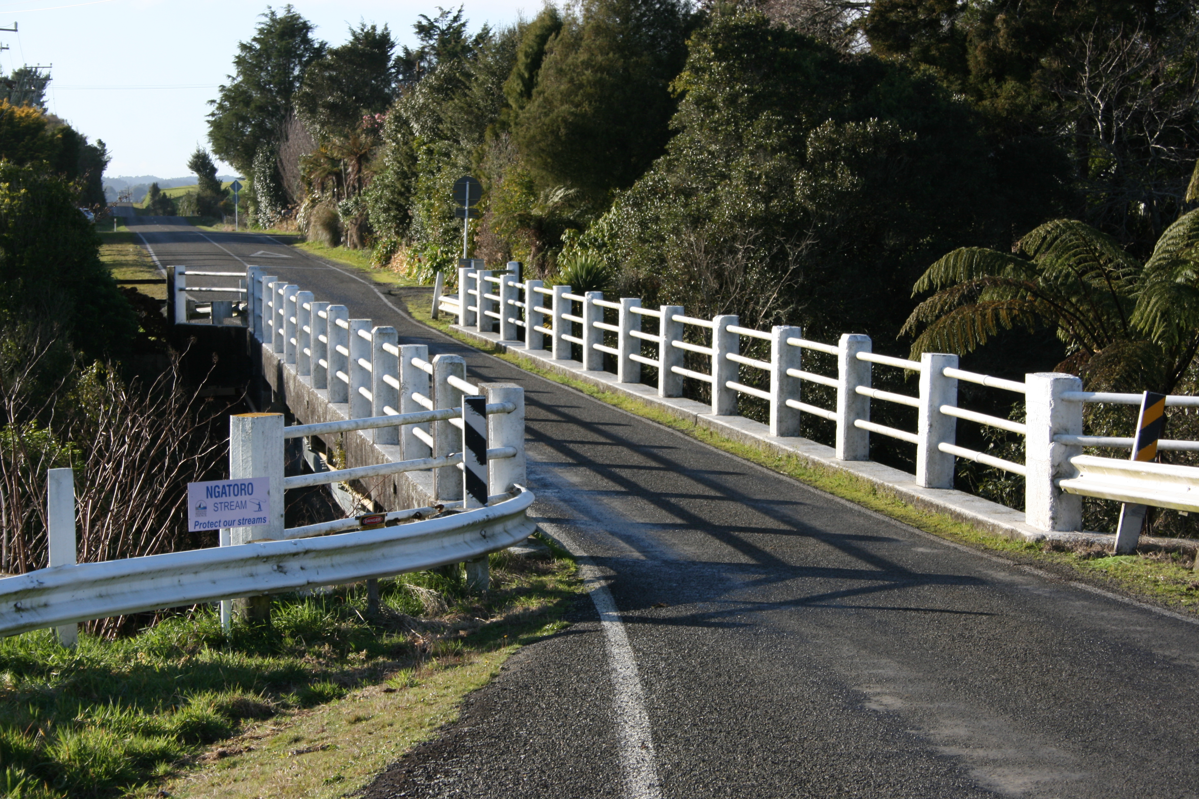 Ngatoro_Bridge__015.JPG