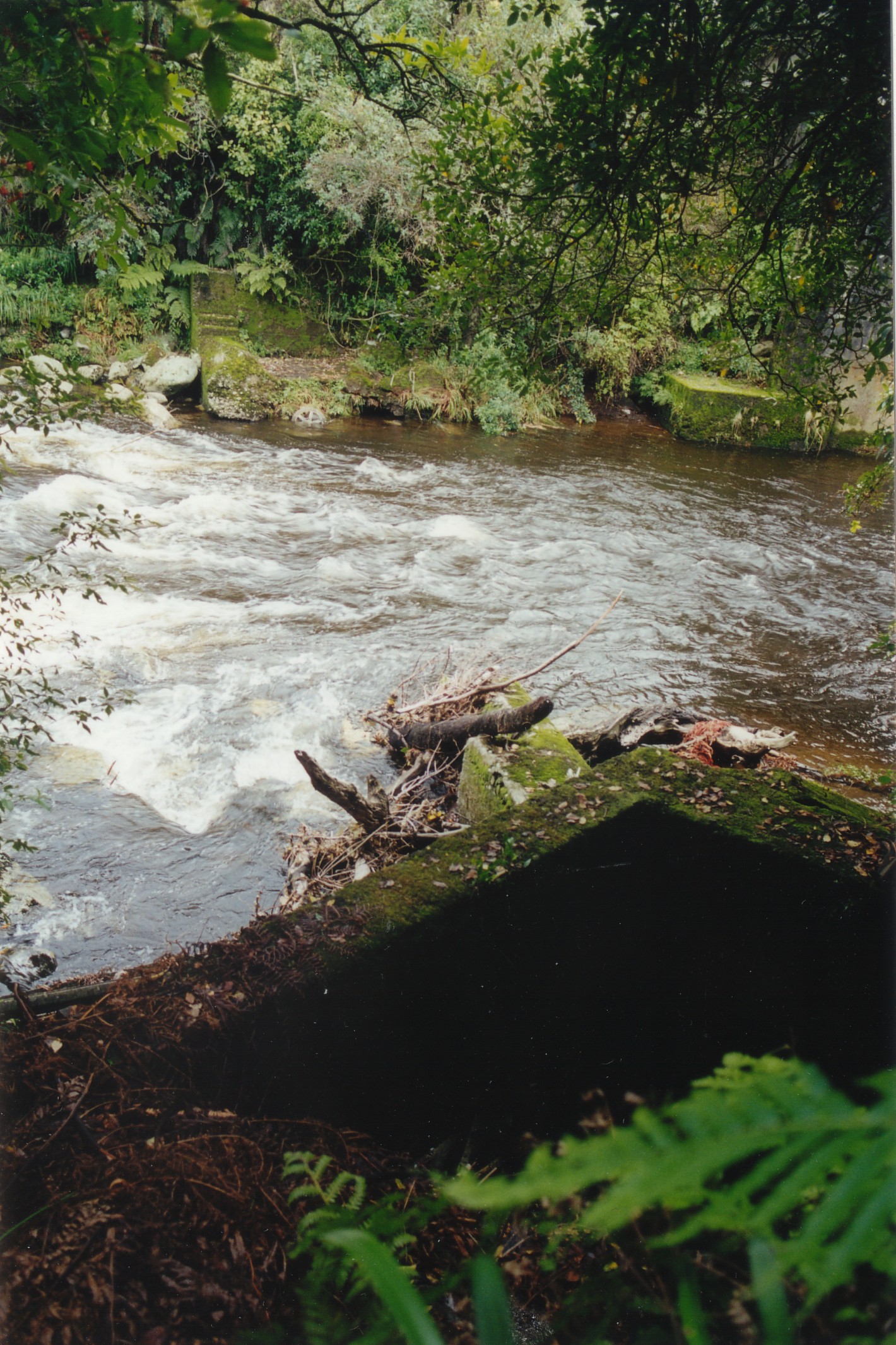 Inglewood_Intake___Dam.jpg