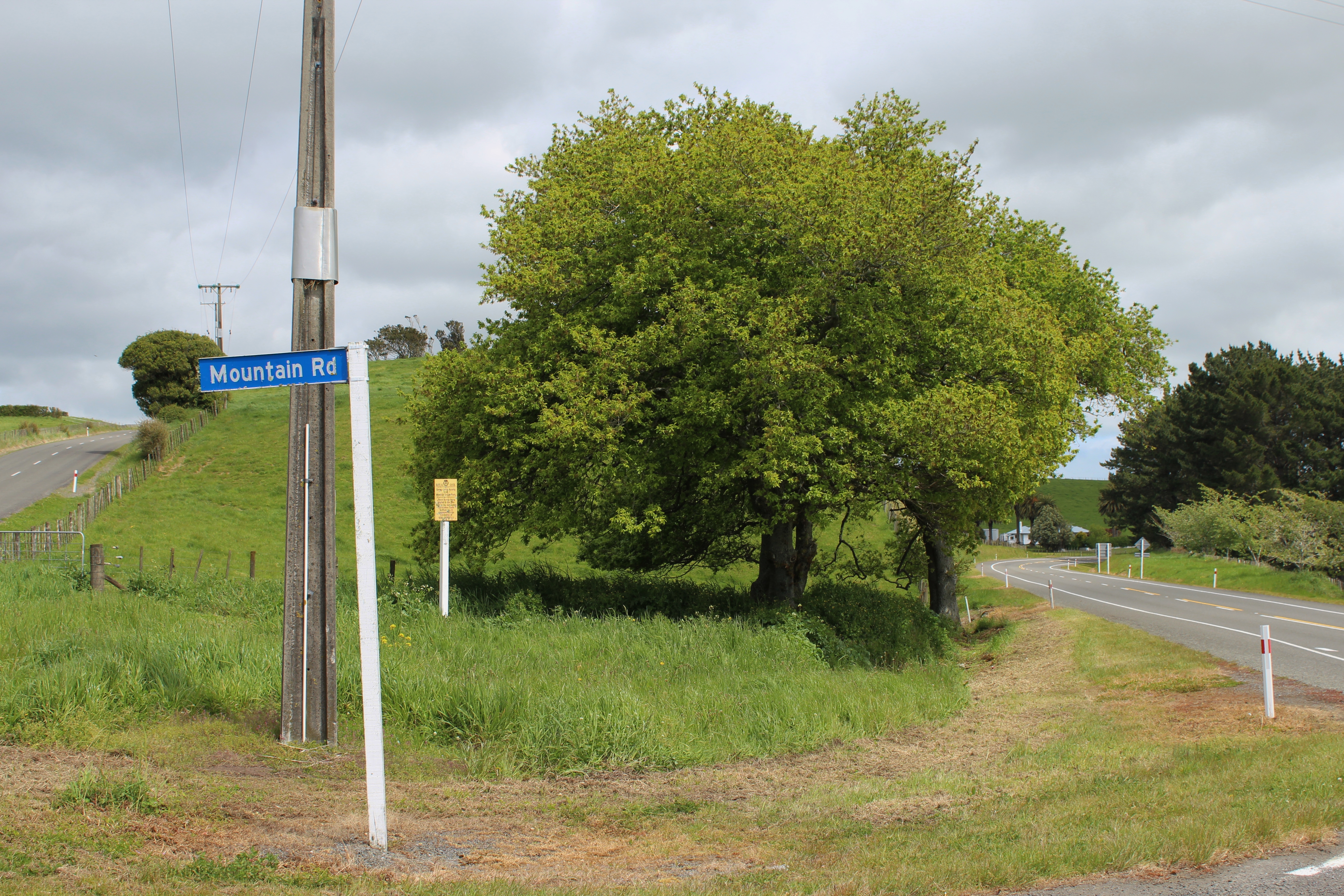 Hawera_032.JPG