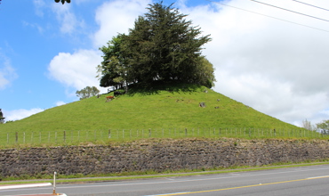 Inglewood_Wall_001.JPG