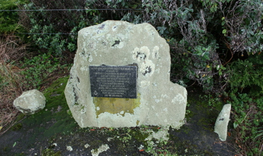 Alexander_Trust_020.JPG