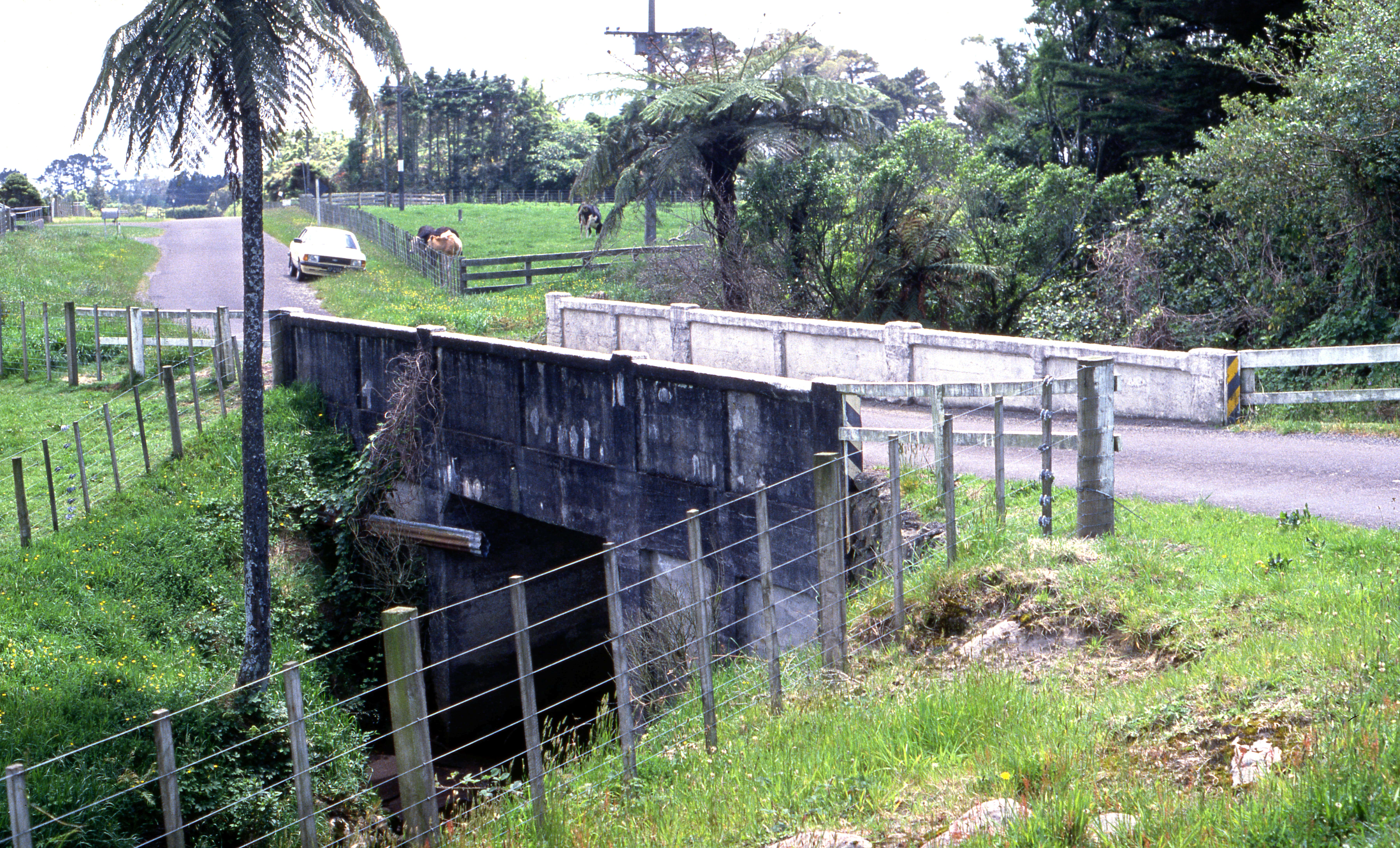 Waionganaiti_Bedford_1989__2__-_Copy.jpg