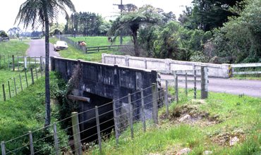Waionganaiti_Bedford_1989__2__-_Copy.jpg