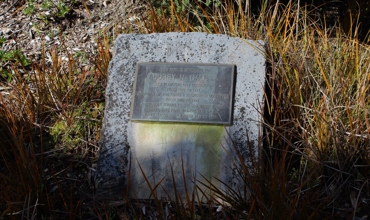 Audrey_Gale_Park_011.JPG