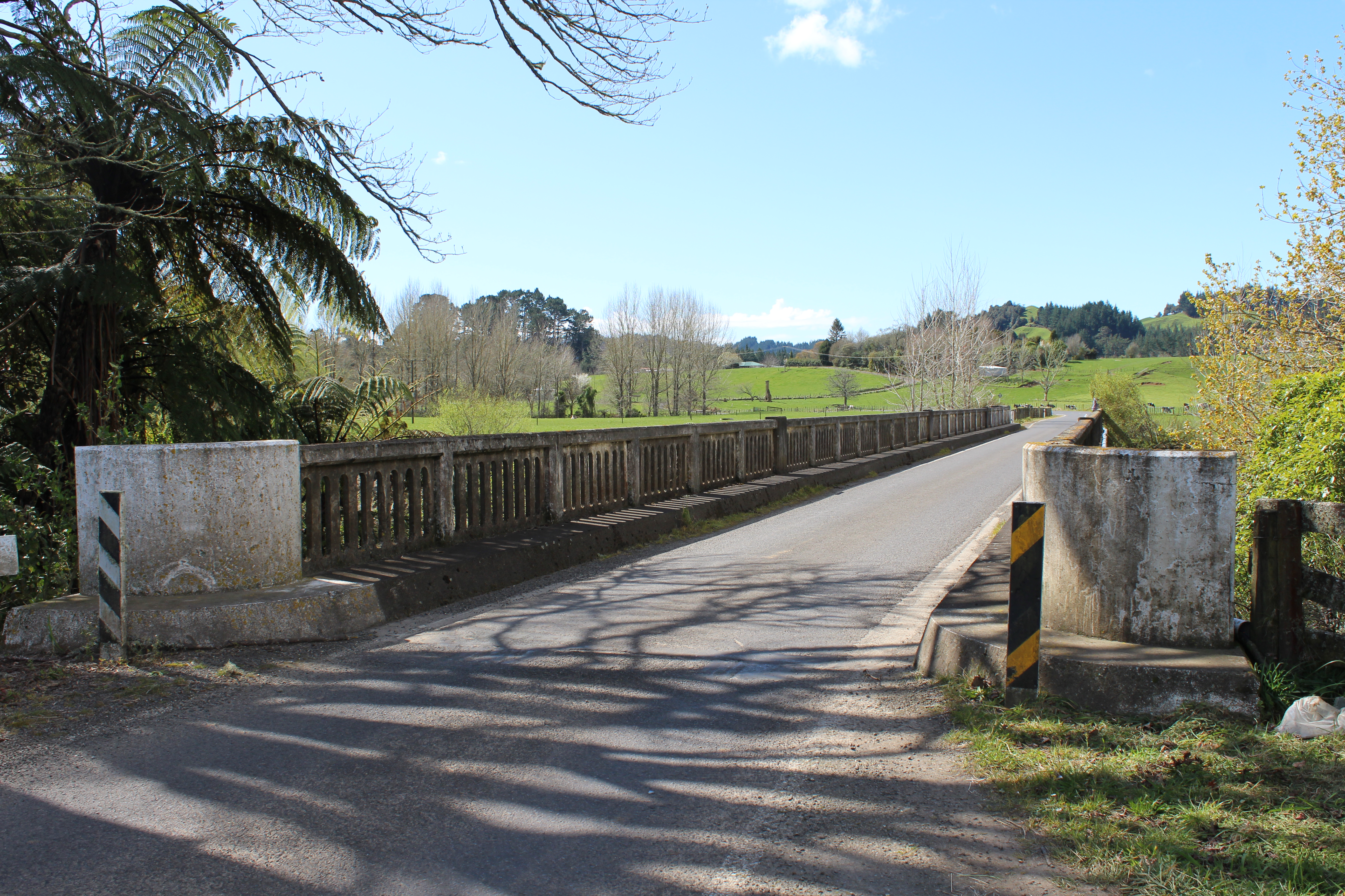 Waitara_Bridge_-_Tarata_007.JPG