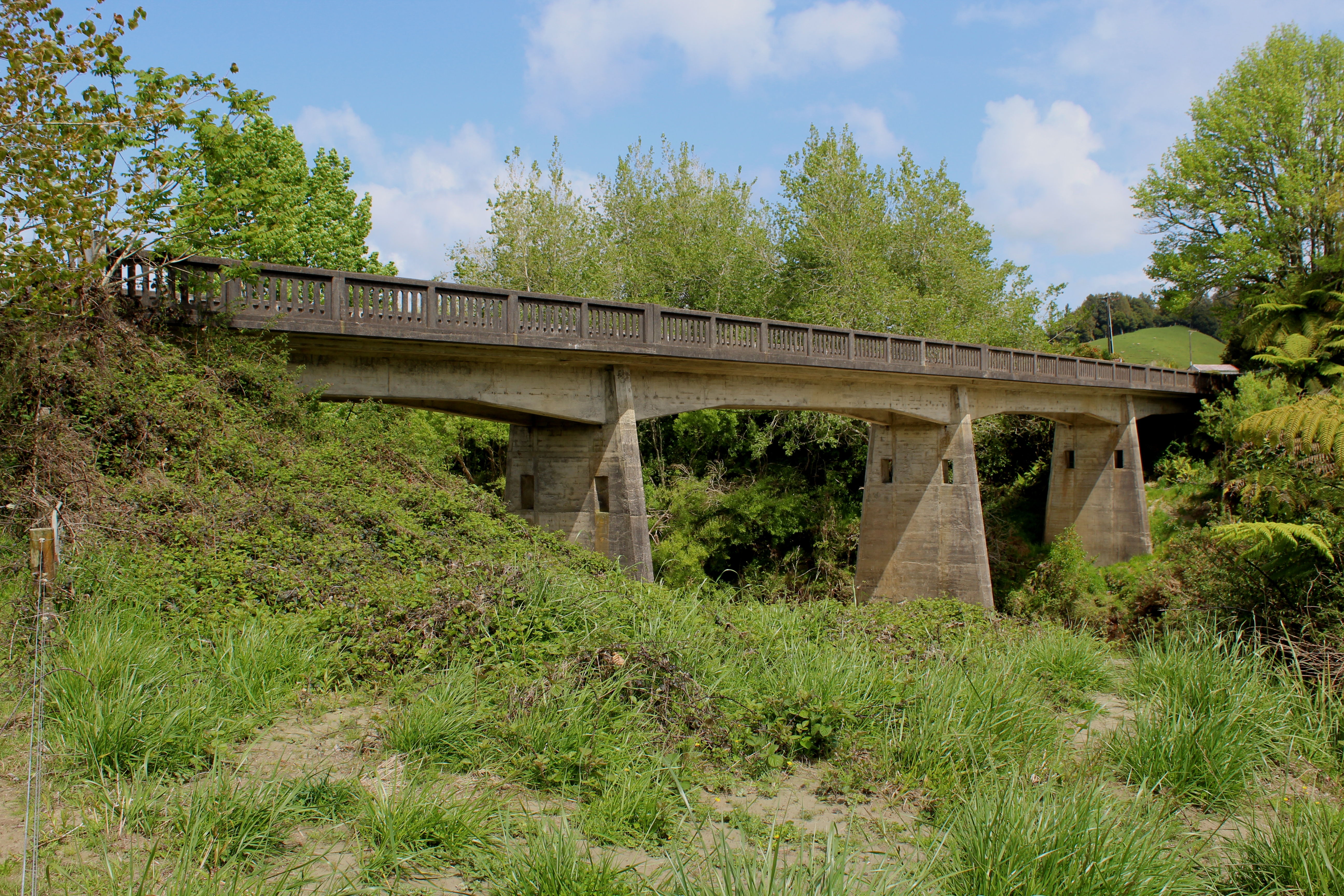 tarata_Bridge_005.JPG