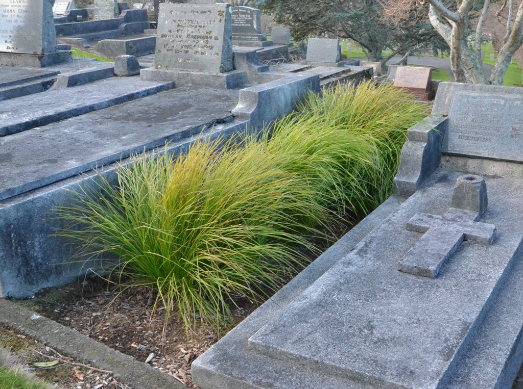 Alfred_Brake_Grave_005.jpg