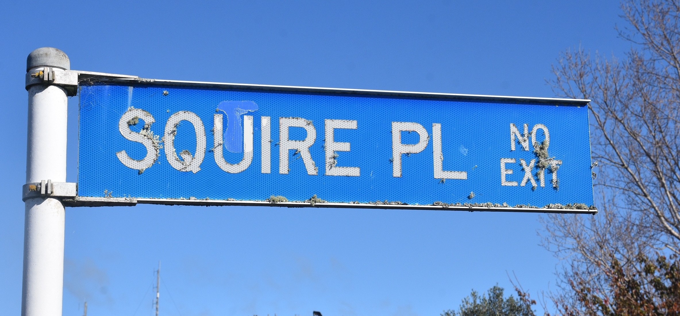 Squire Place Sign Copy For Web