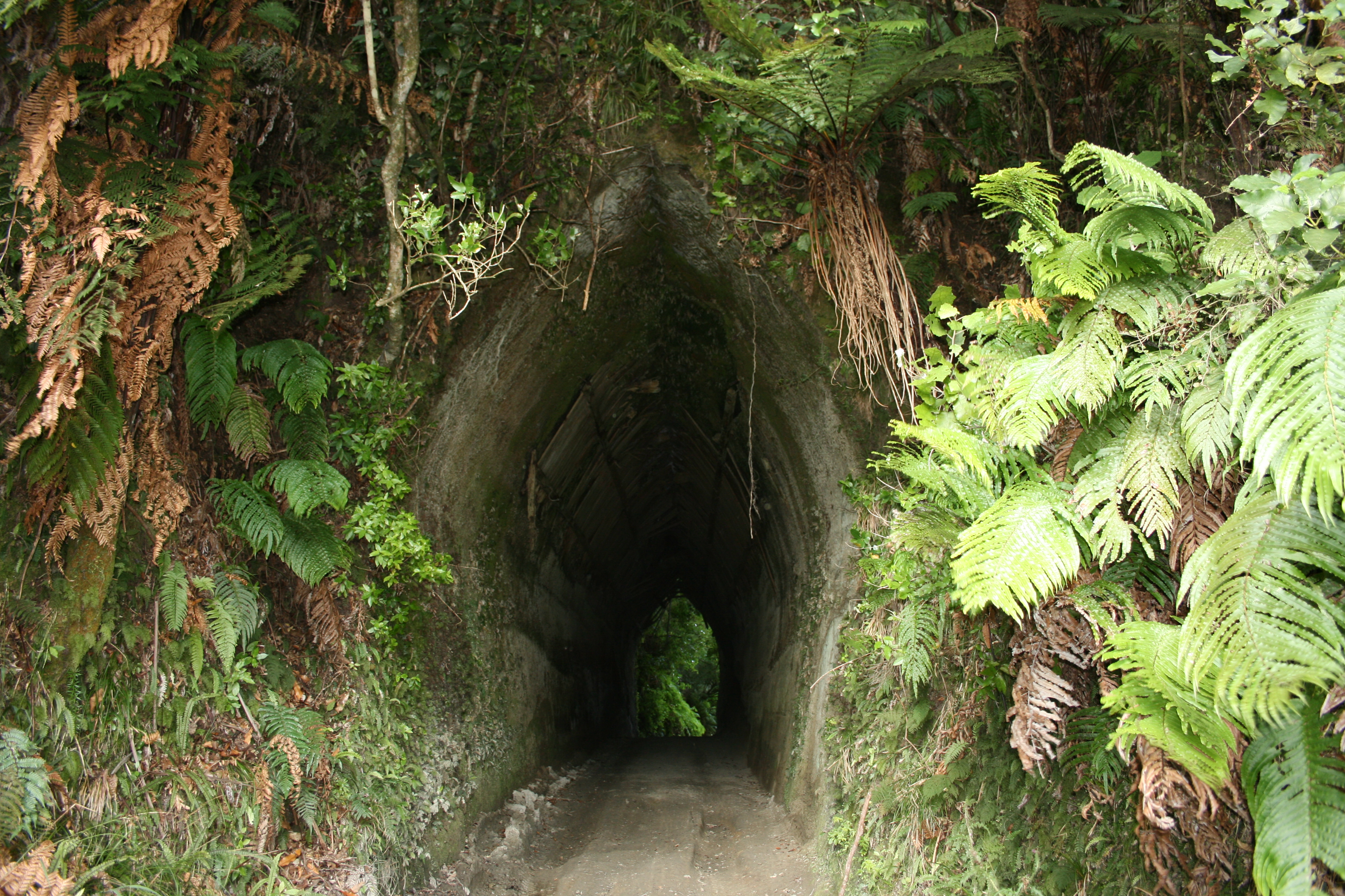 Whanga_Rd_Tunnel__1_068.jpg