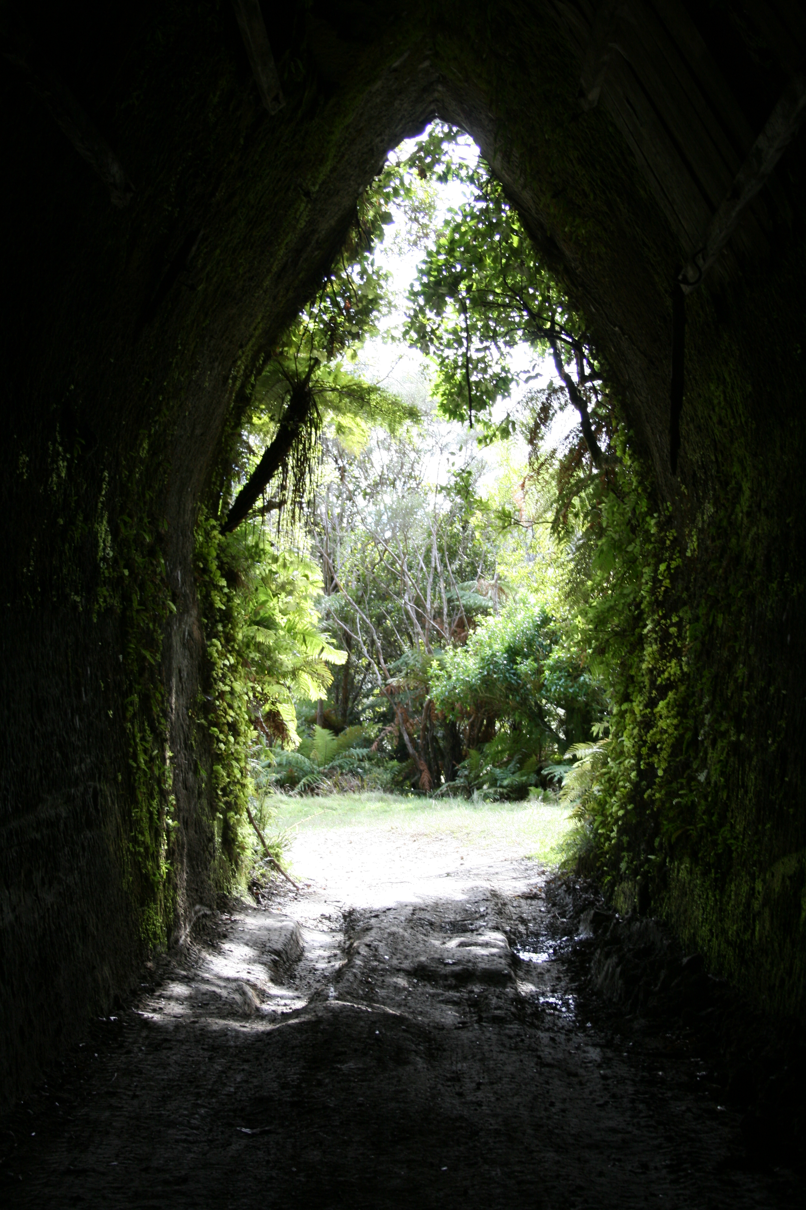 Whanga_Rd_Tunnel__1_084.jpg