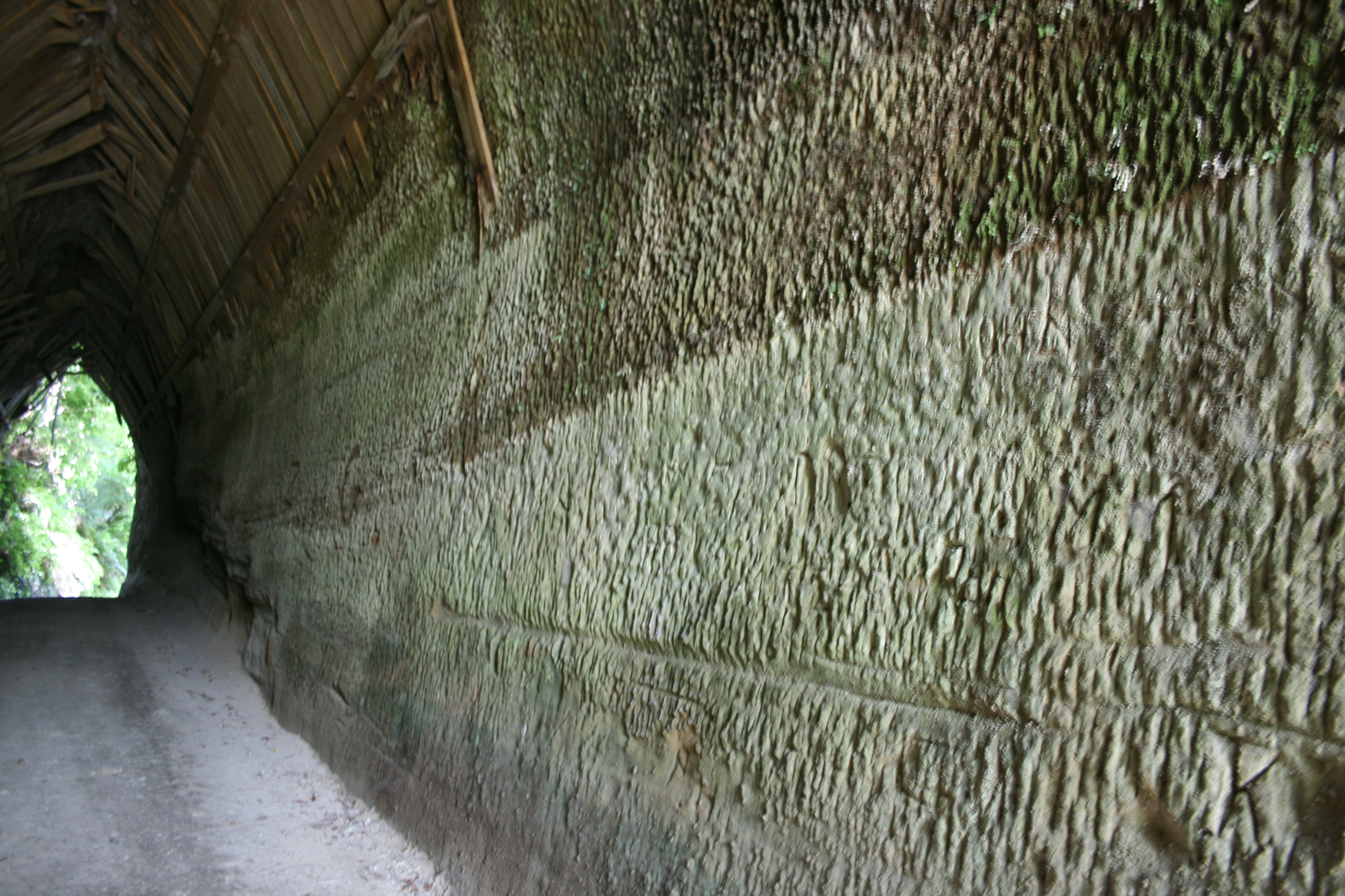 Whanga_Rd_Tunnel__1_074.jpg