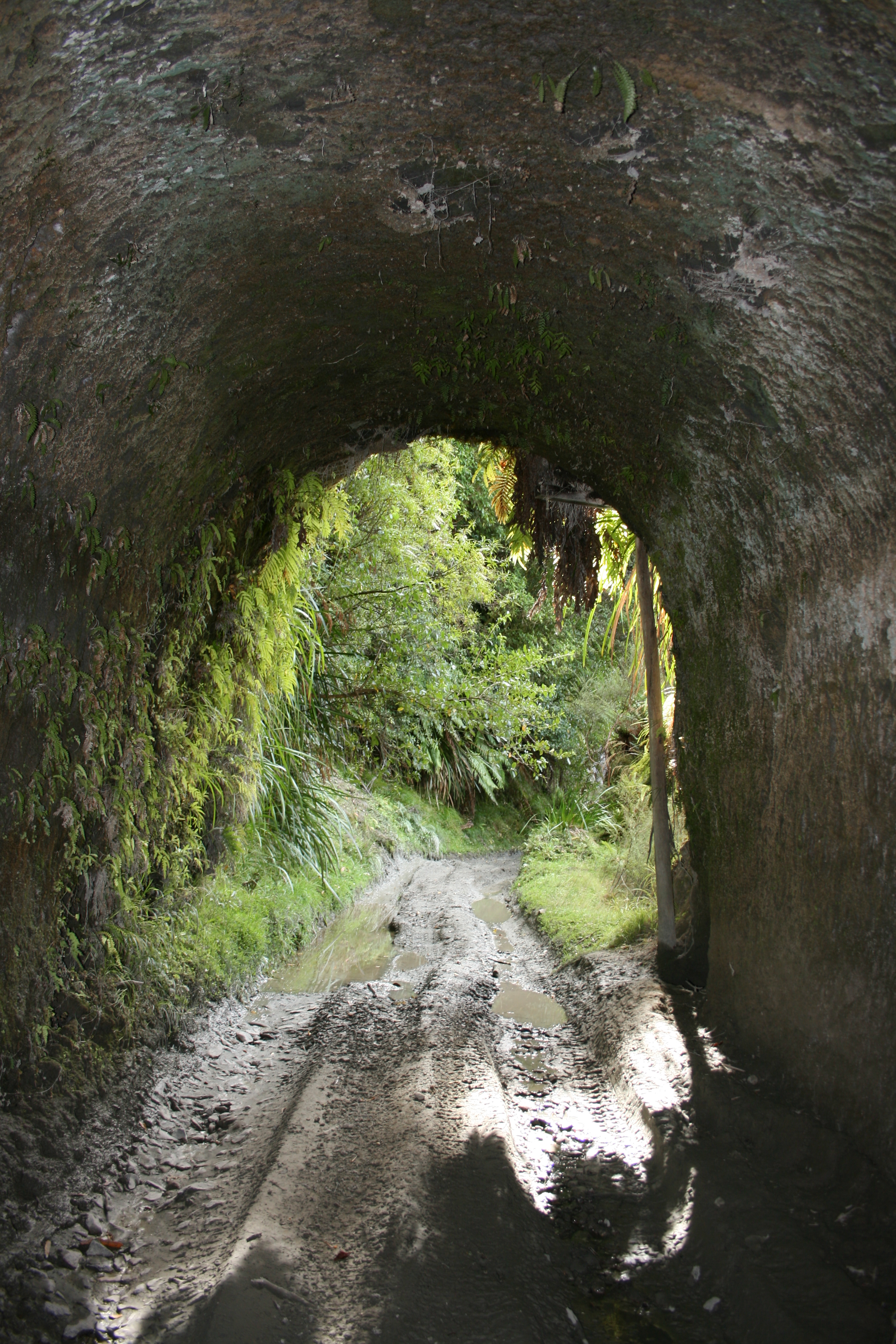 Whanga_Rd_Tunnel__2_043.jpg