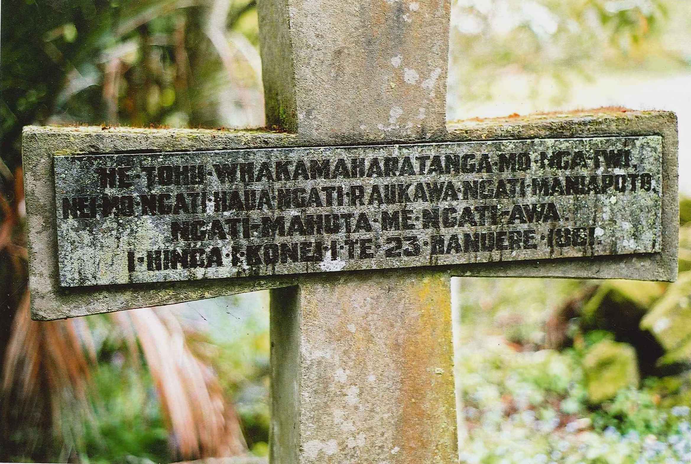 Huirangi_1__4_.jpg