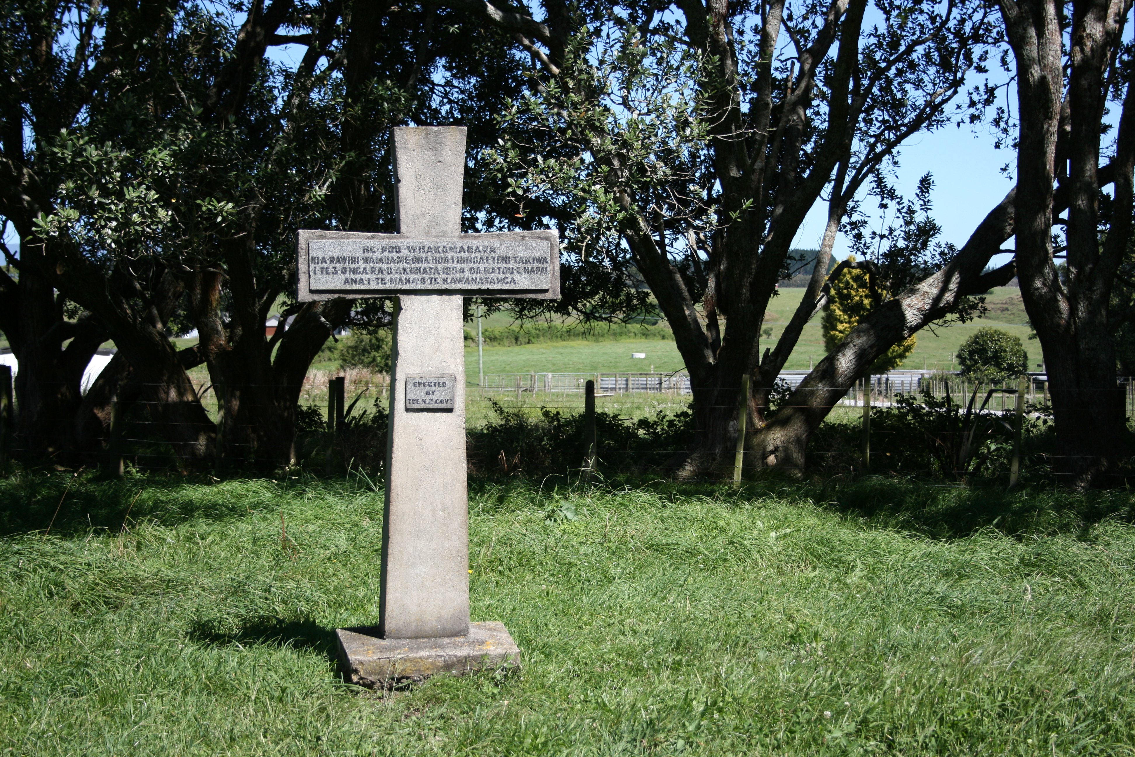 Puketapu_Cross_2.jpg