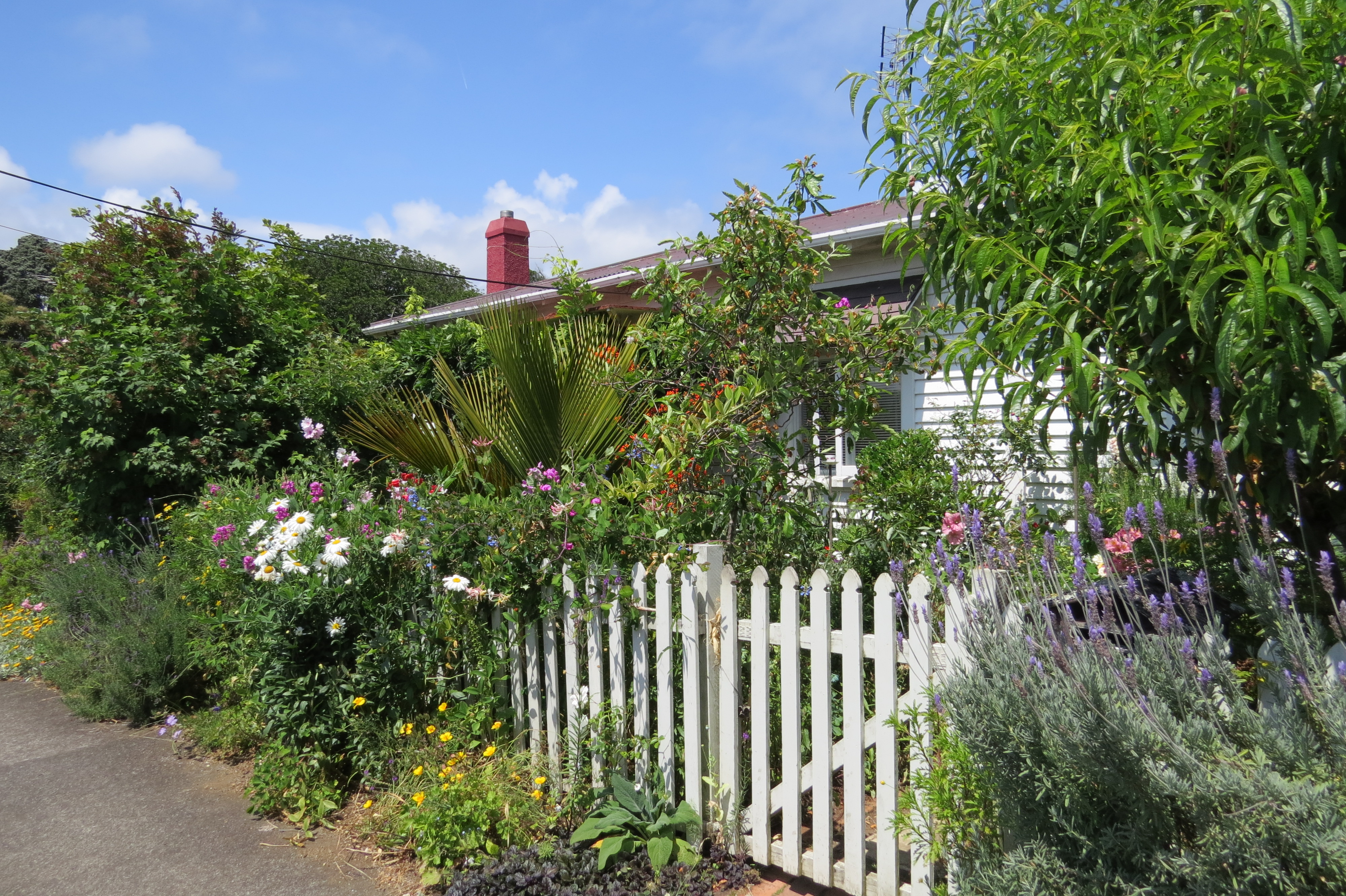 32_Weymouth_Street_2017.JPG