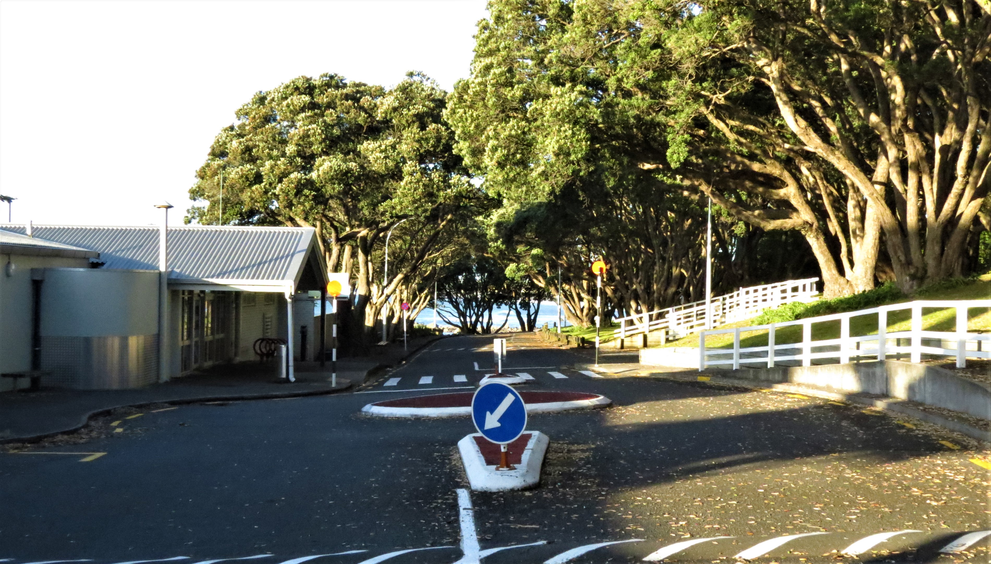 Tisch Avenue with the Todd Energy Aquatic Centre on the left (2020). Rachel Sonius. Word on the Street image collection.
