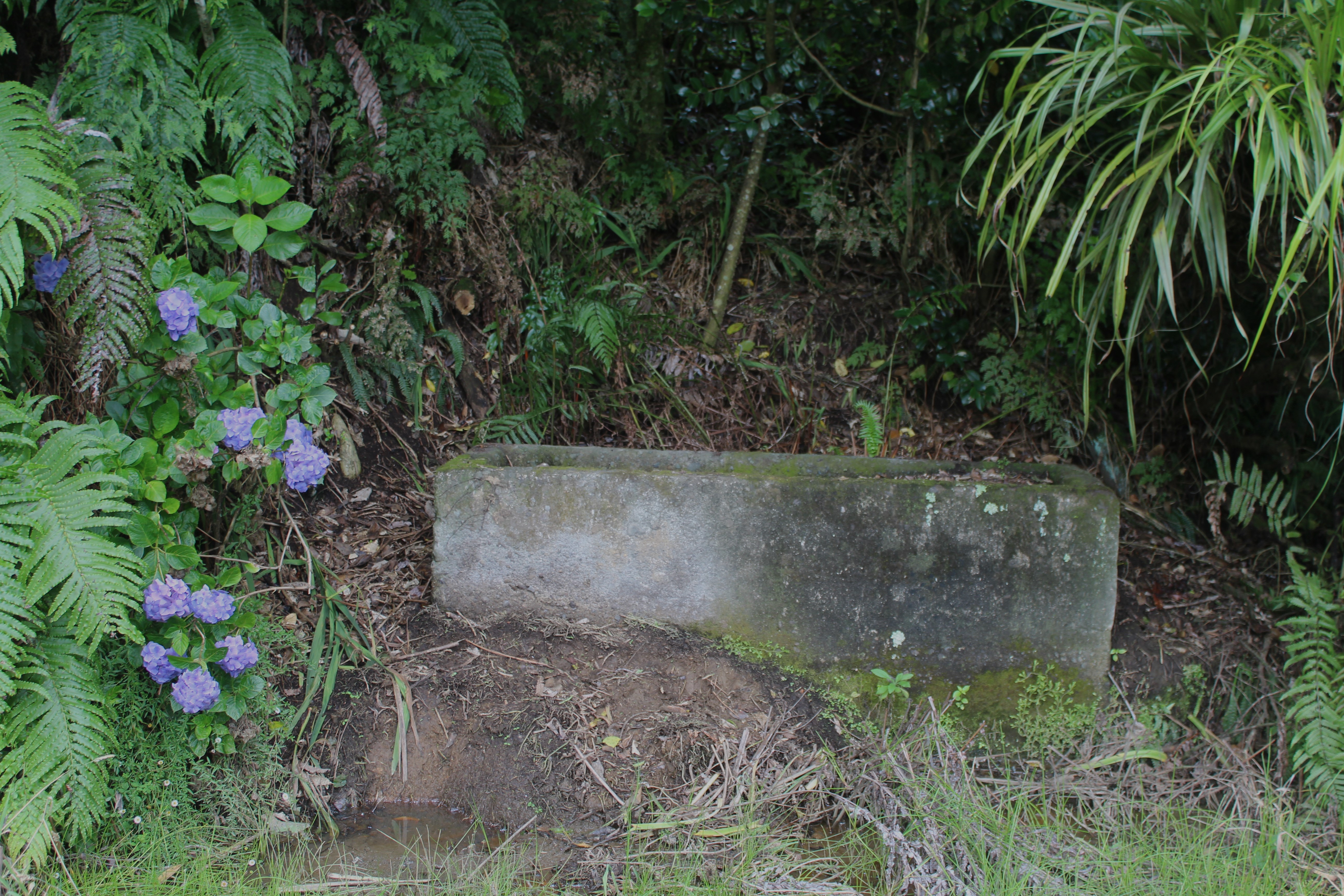 Tarata Horse Trough 2024