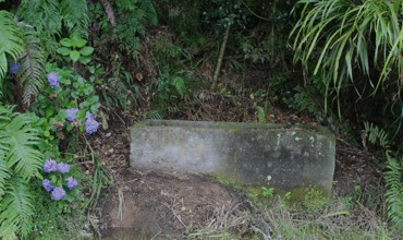 Tarata Horse Trough 2024