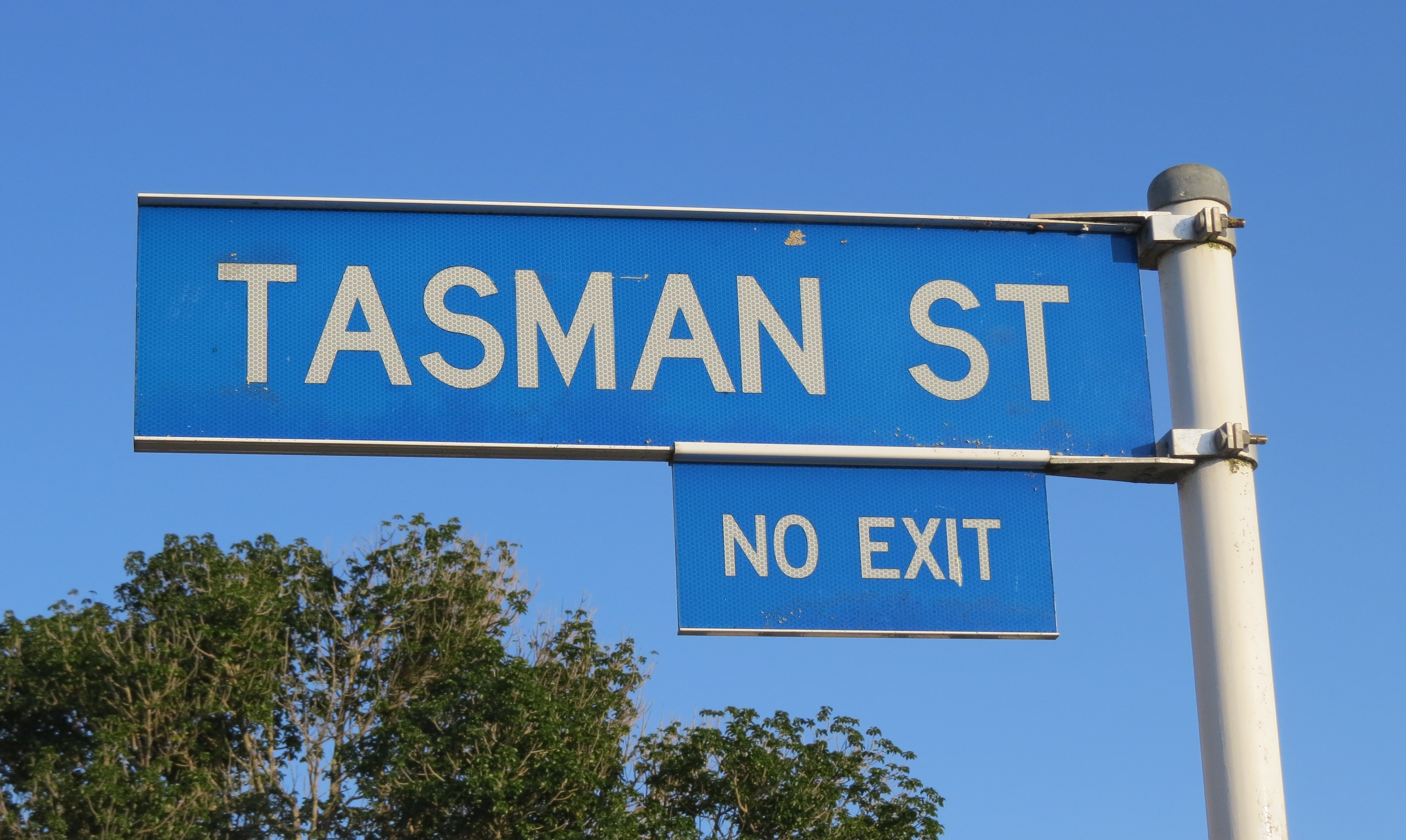 Tasman Street sign (2024). Rachel Sonius. Word on the Street image collection.