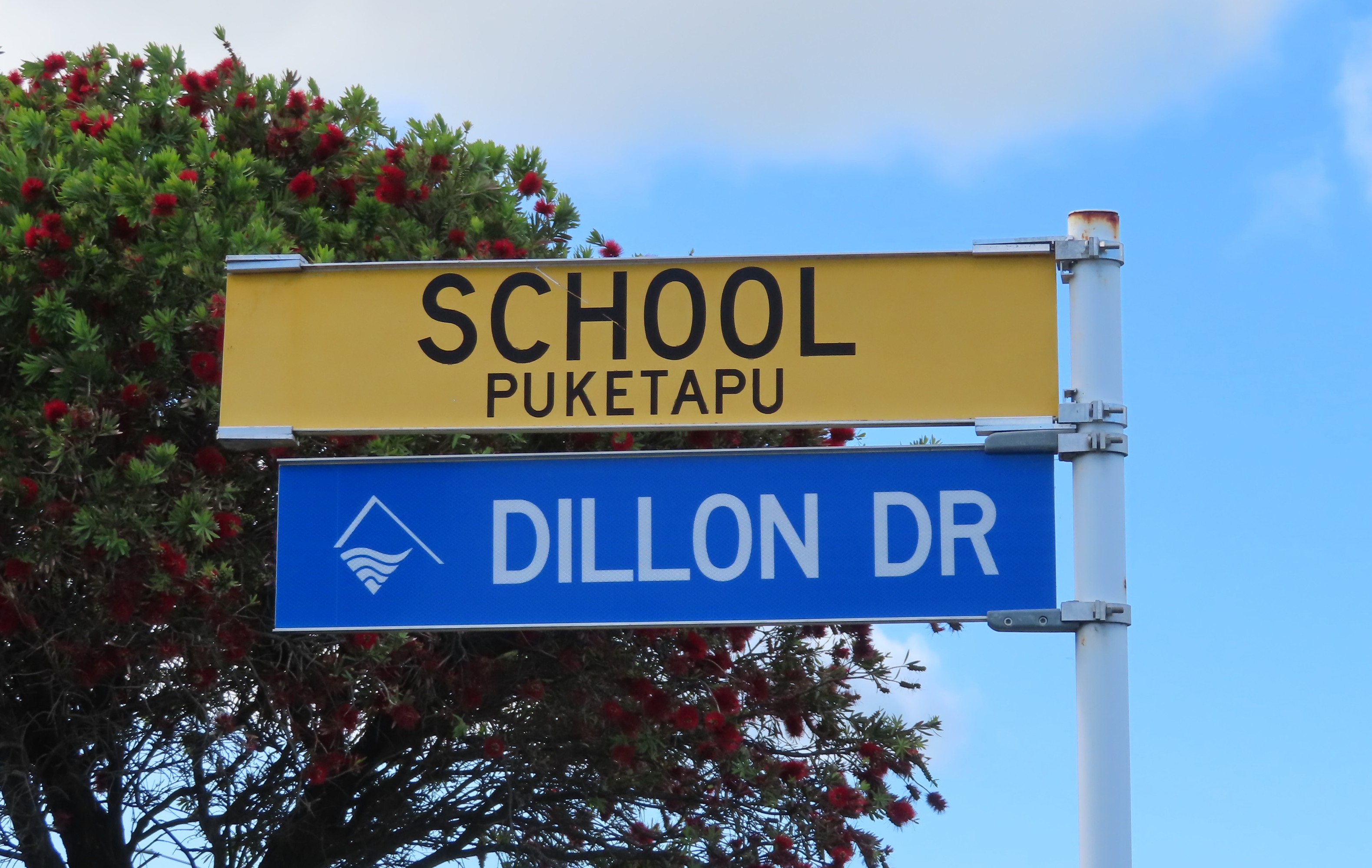 Dillon Drive (2025). Rachel Sonius. Word on the Street image collection.