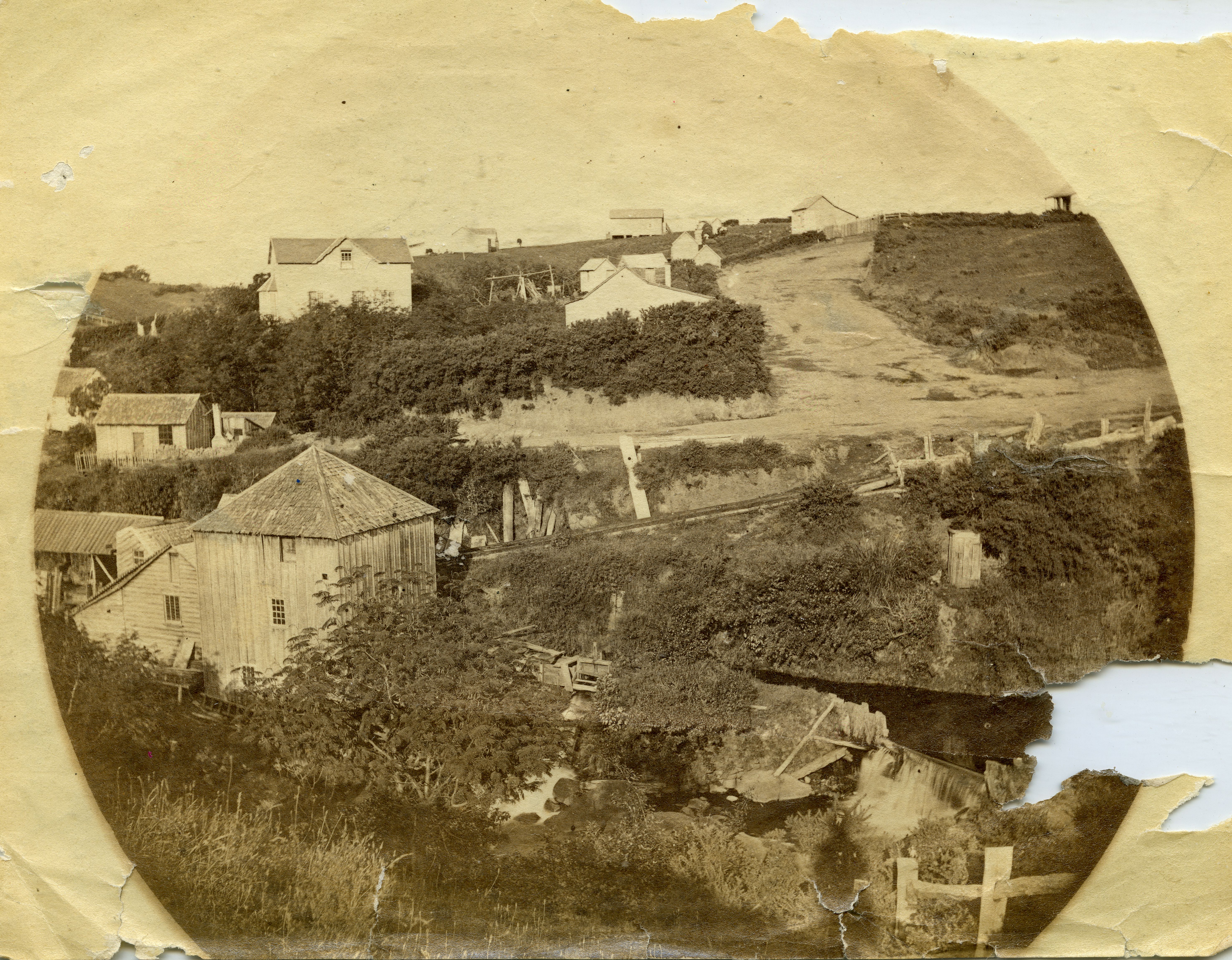 Alpha Flour Mill (before 1880). Unknown photographer. Collection of Puke Ariki (PHO2010-0364).