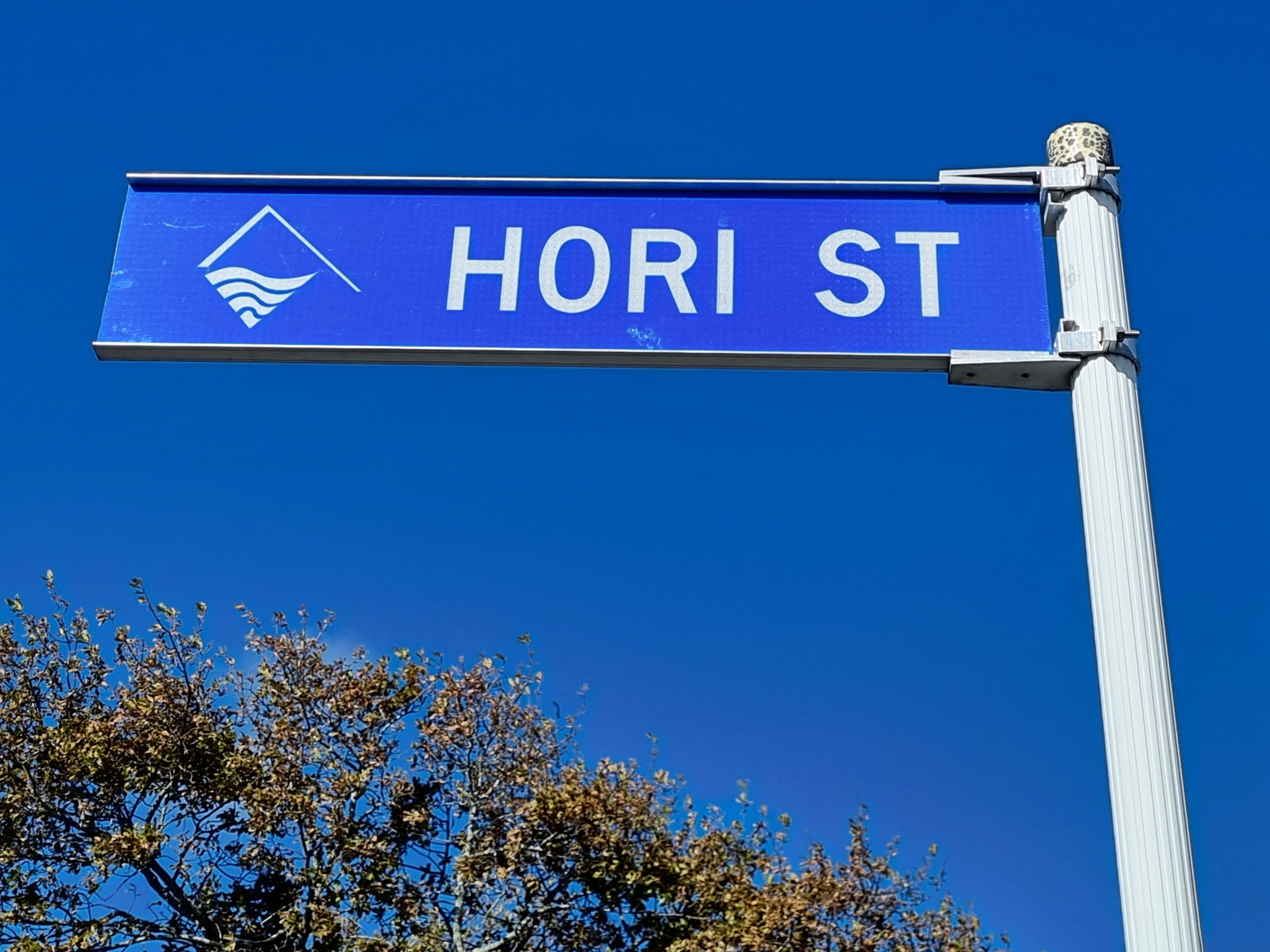 Hori St Sign (1)